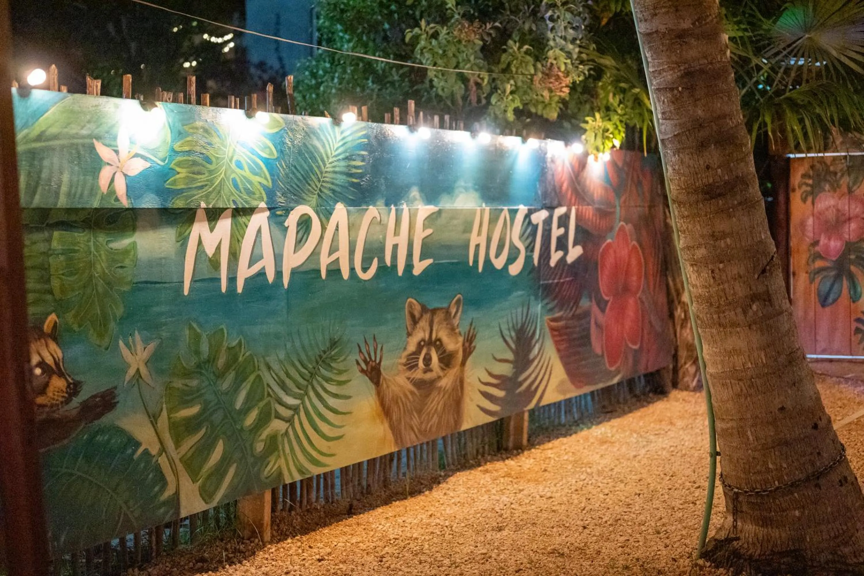 Property logo or sign in Mapache Hostel