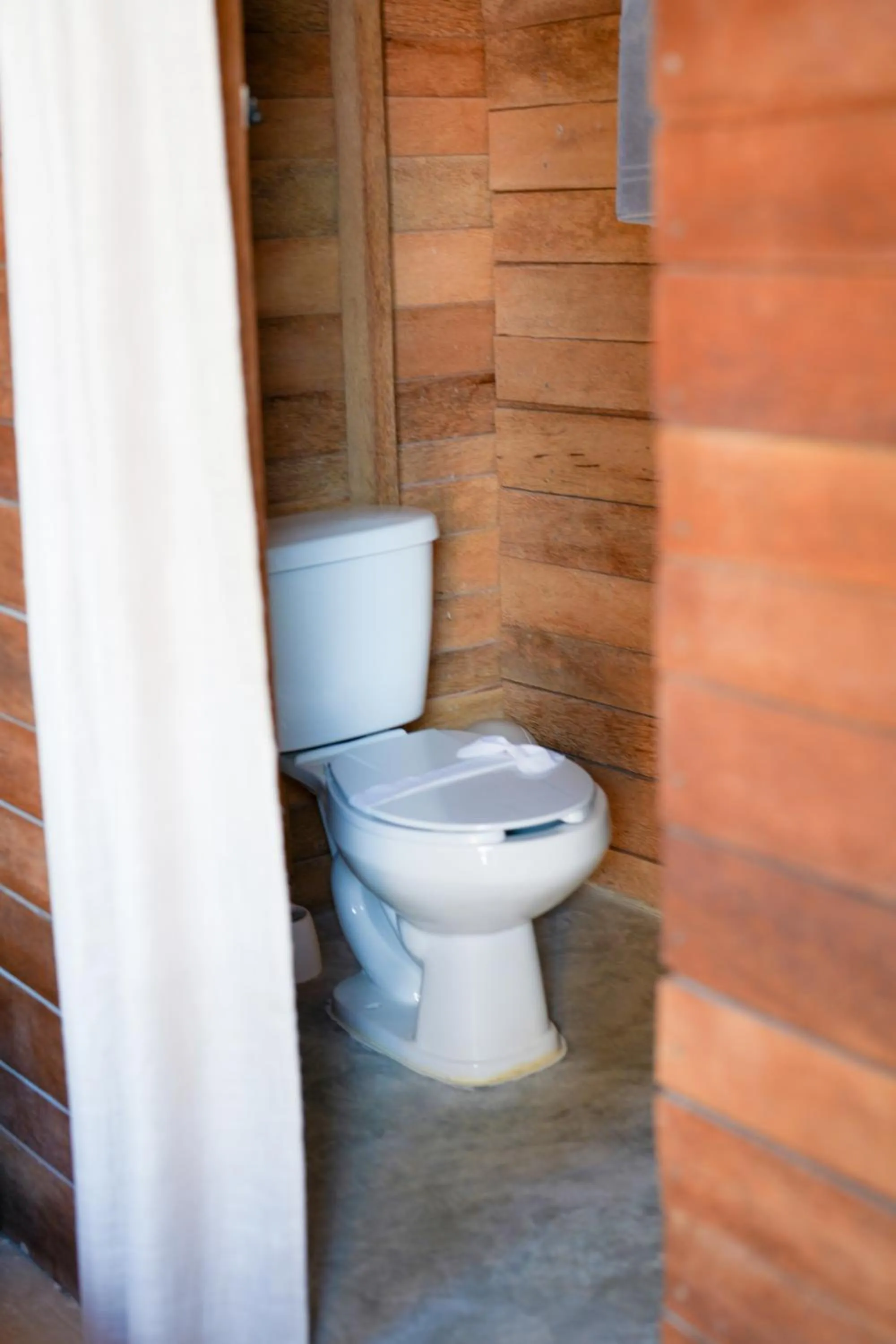 Toilet in Mapache Hostel