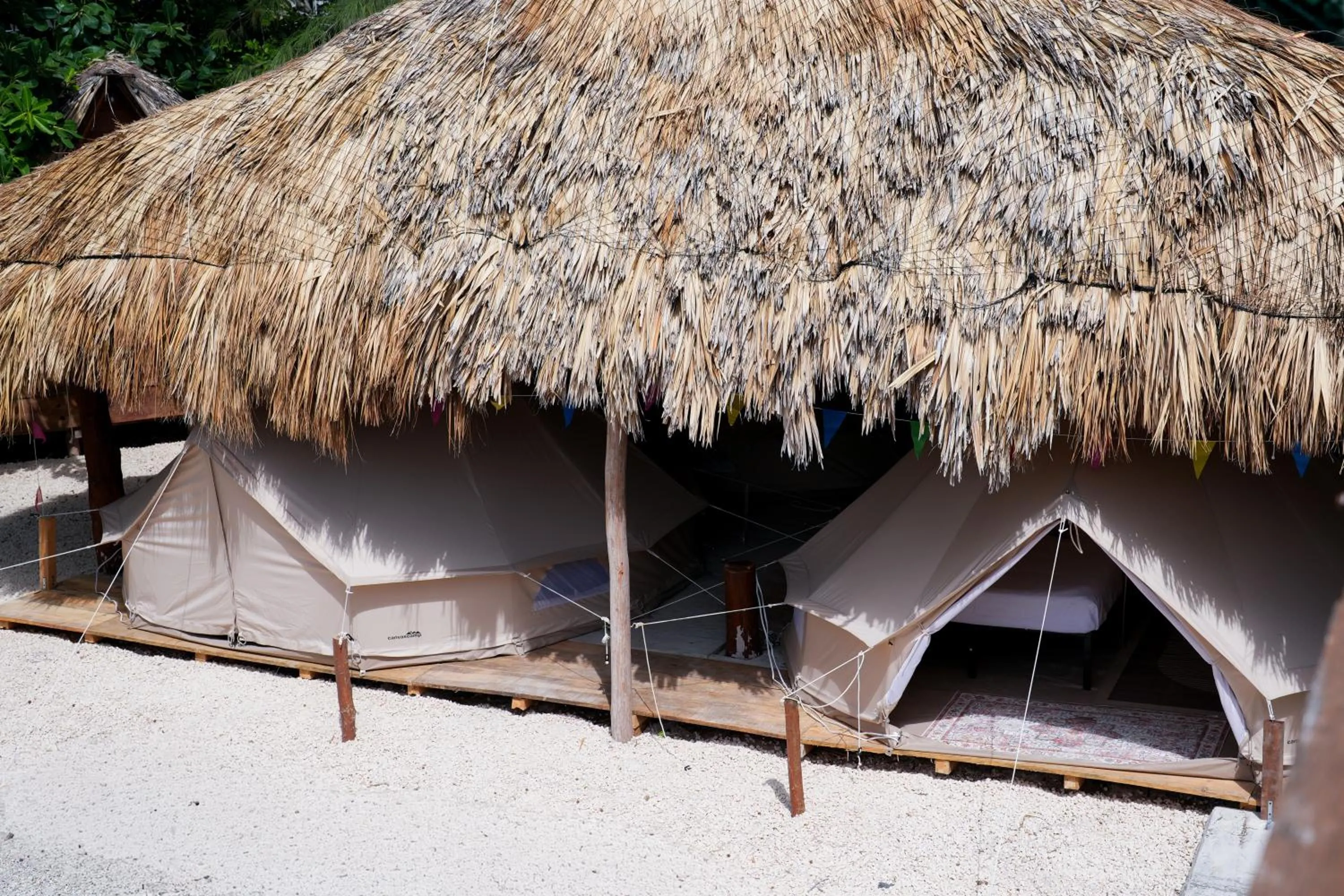 Facade/entrance in Mapache Hostel
