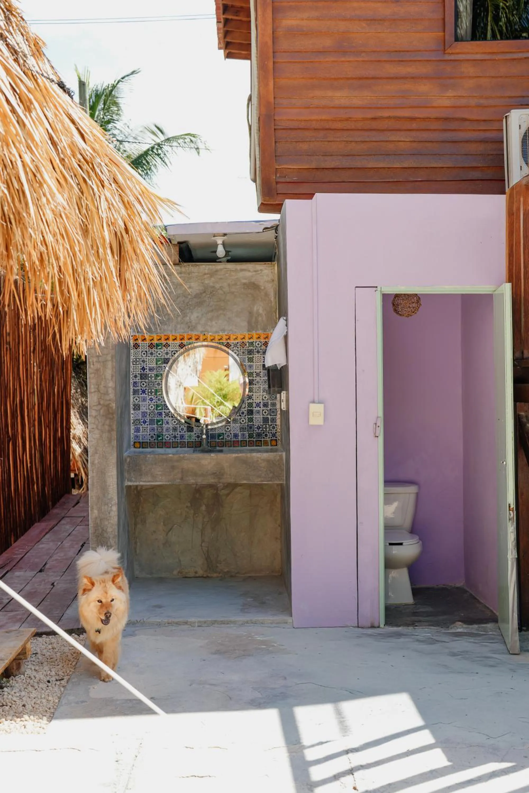 Toilet in Mapache Hostel