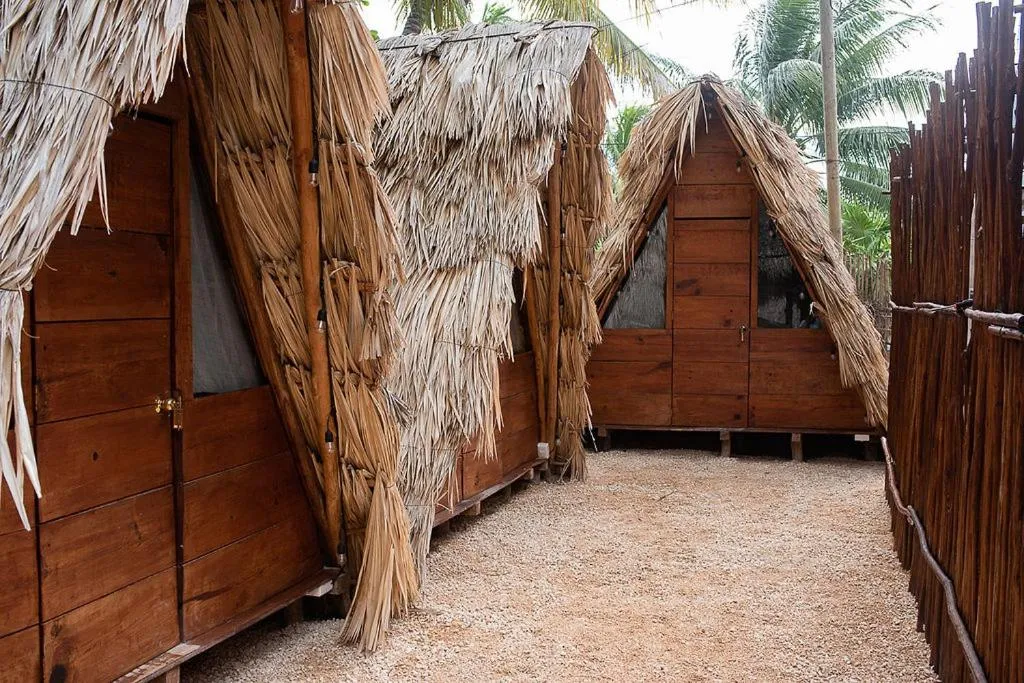 Bedroom in Mapache Hostel