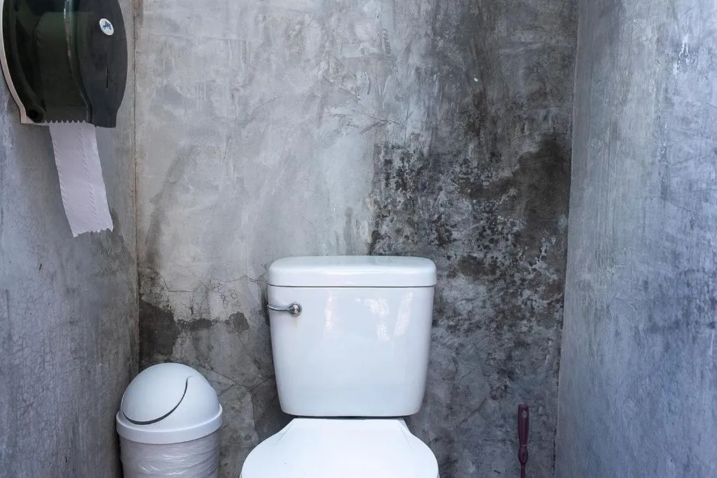 Bathroom in Mapache Hostel