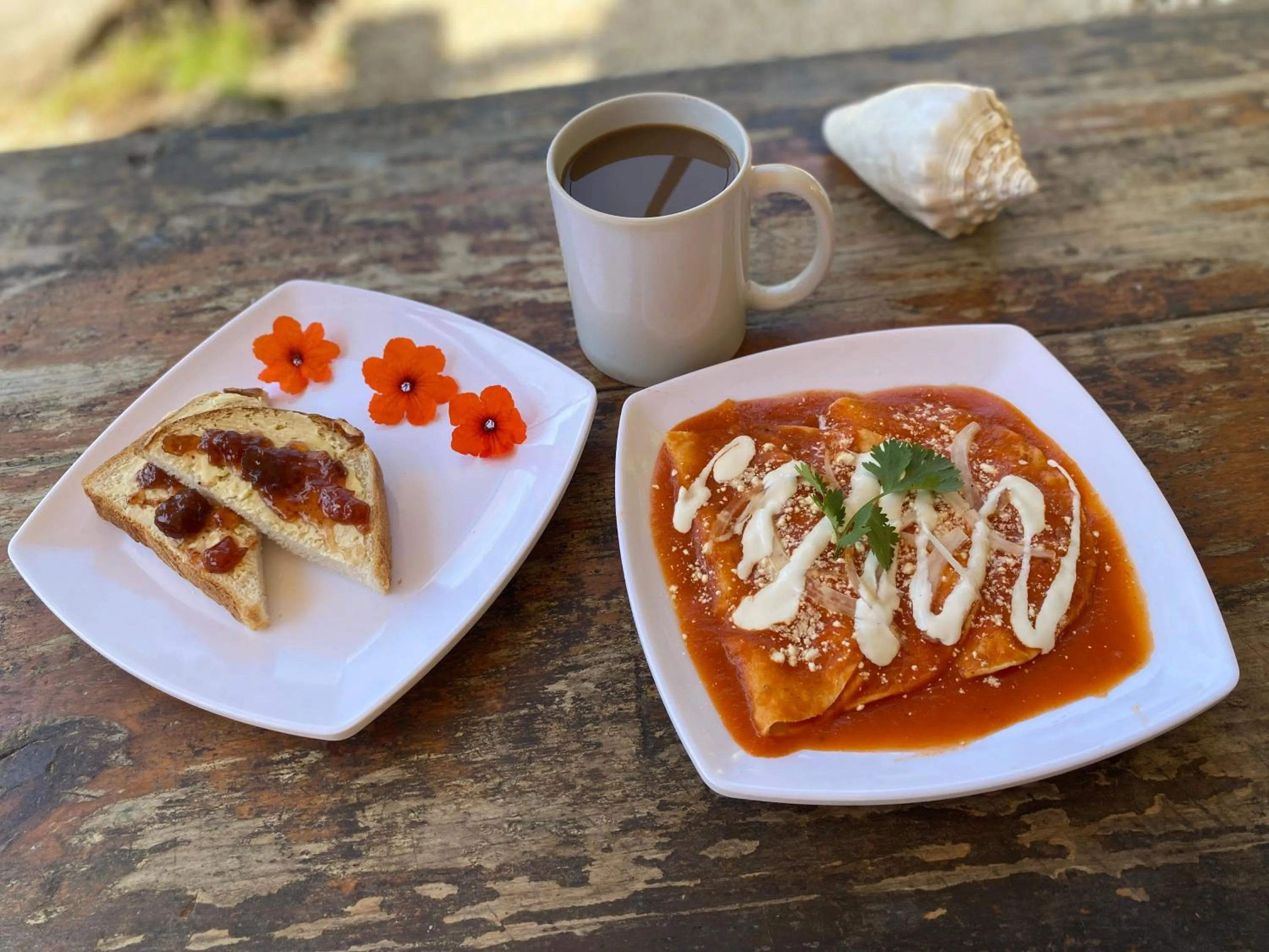 Breakfast in Mapache Hostel