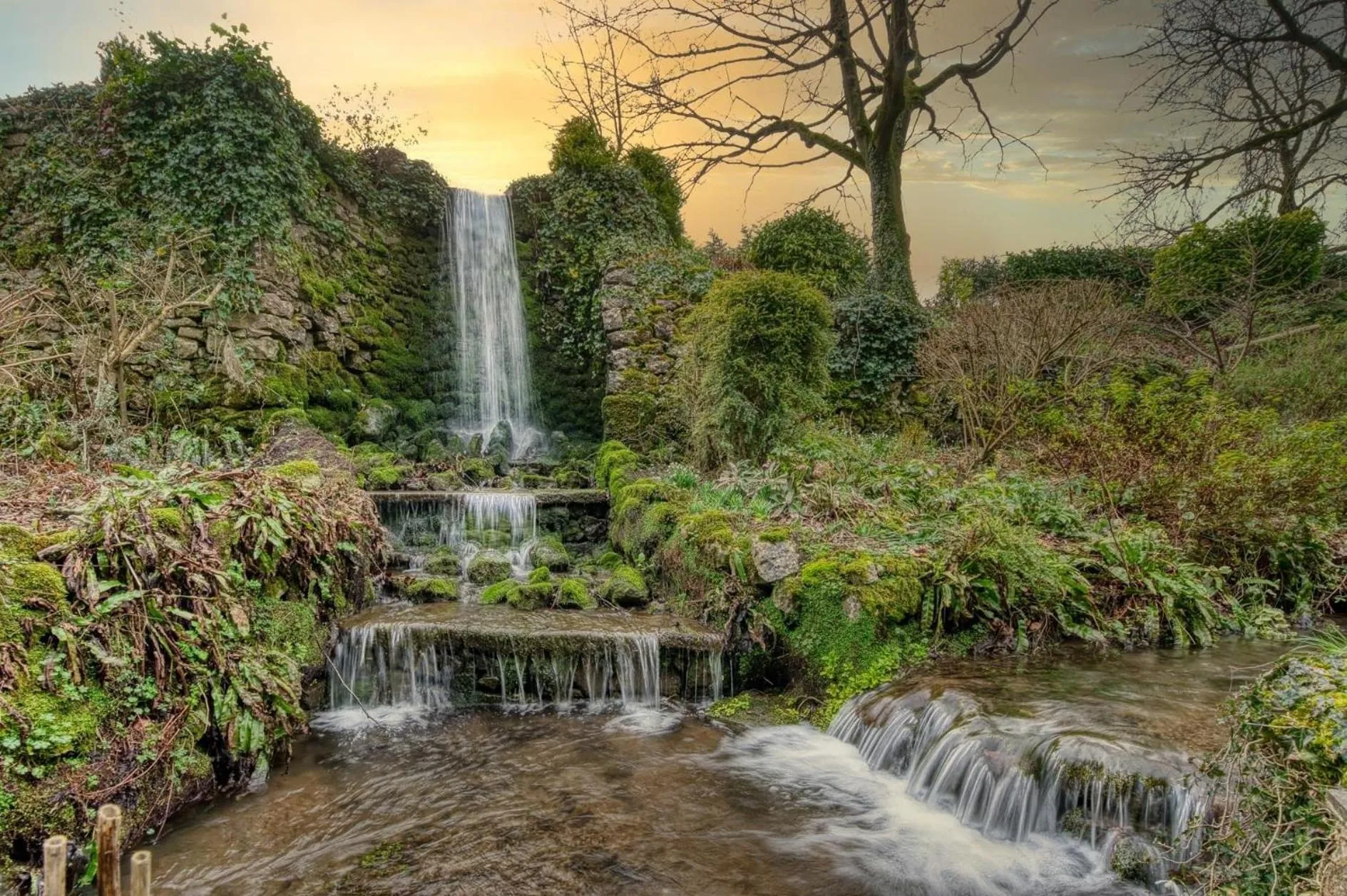 Natural landscape in Cascades Gardens