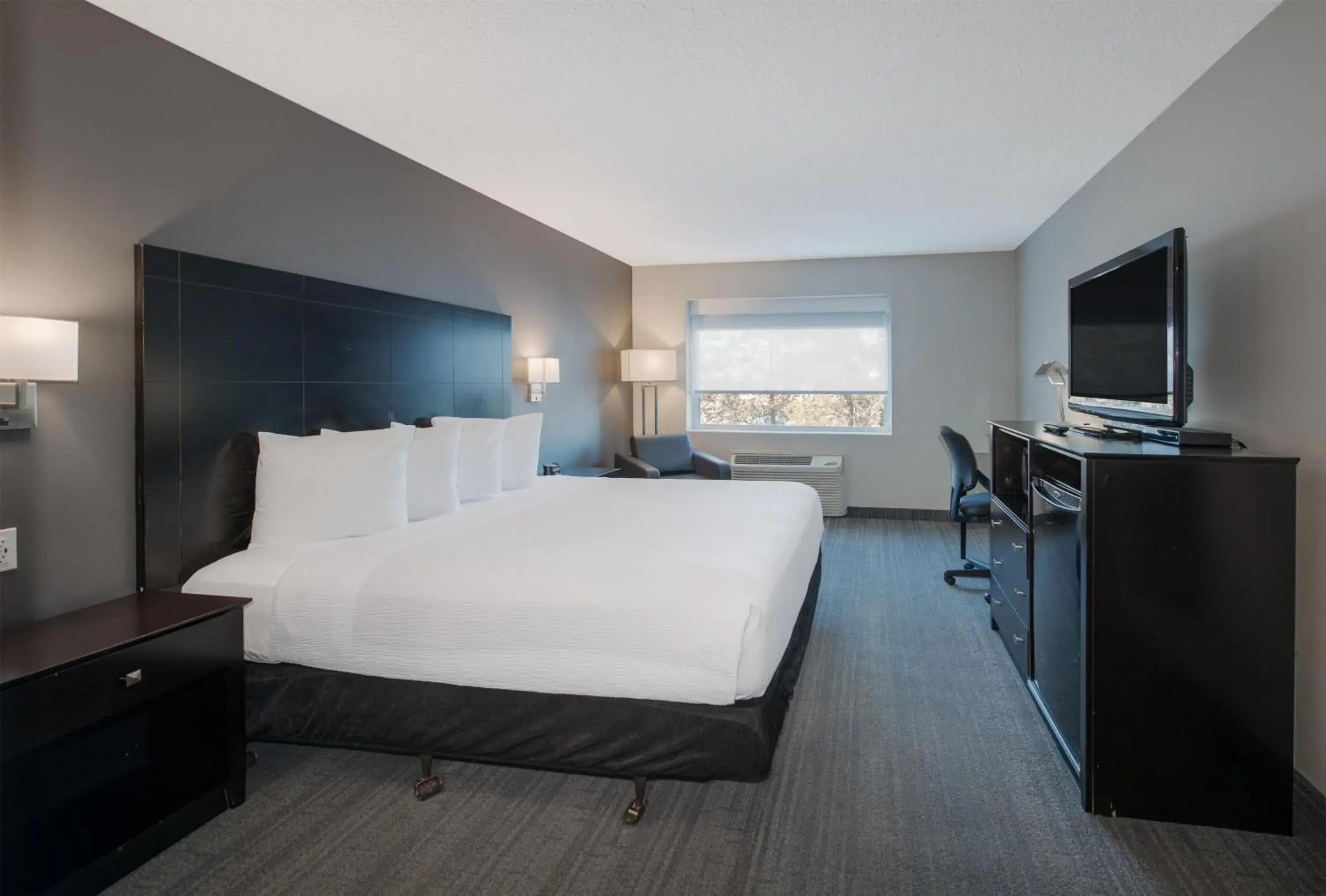 Coast King in Coast Nisku Inn & Conference Centre Coast King in Coast Nisku Inn & Conference Centre