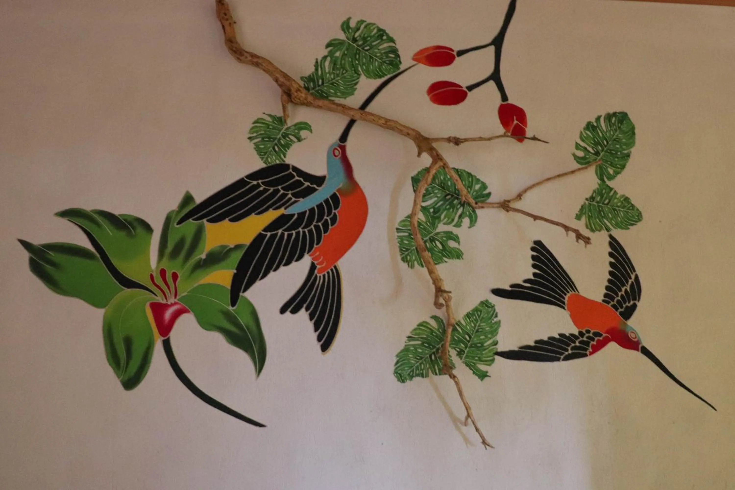 Area and facilities in Casa Copalchi