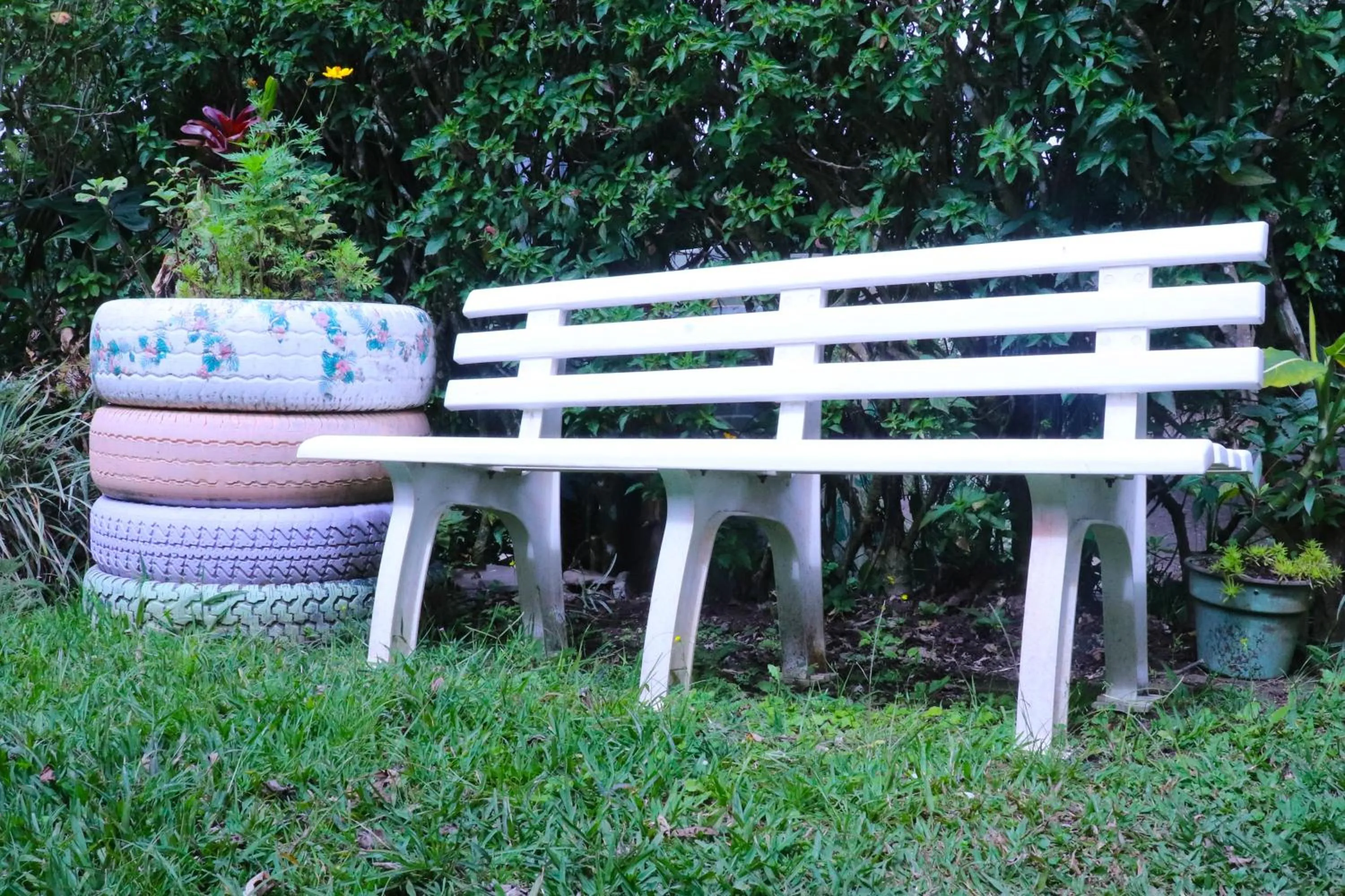 Patio in Casa Copalchi