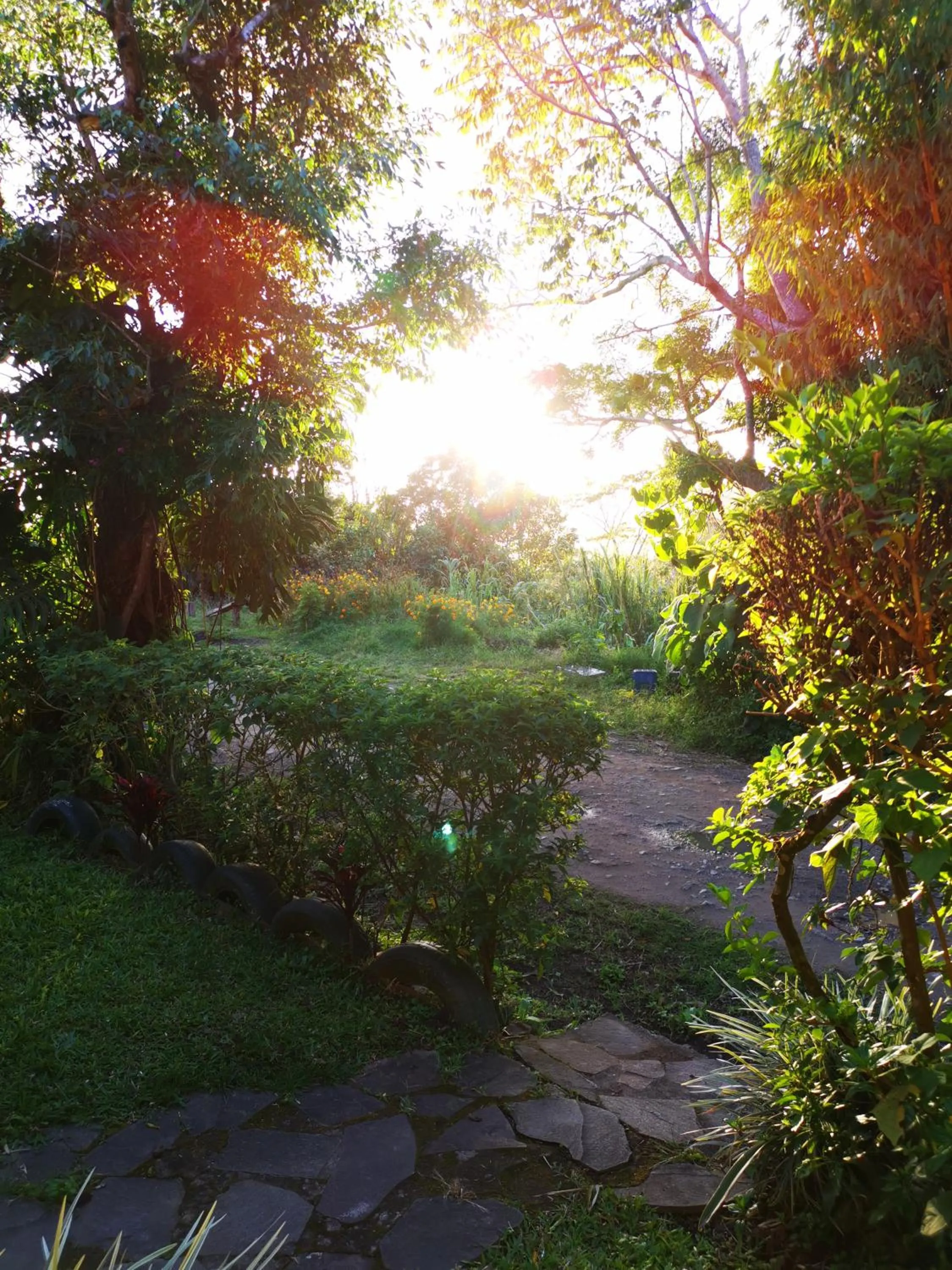 Sunset in Casa Copalchi