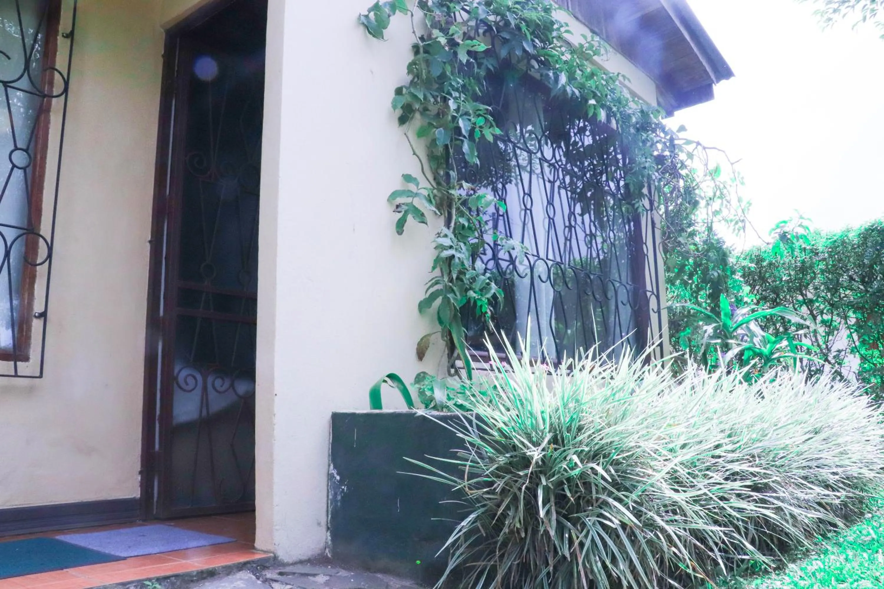 Facade/entrance in Casa Copalchi