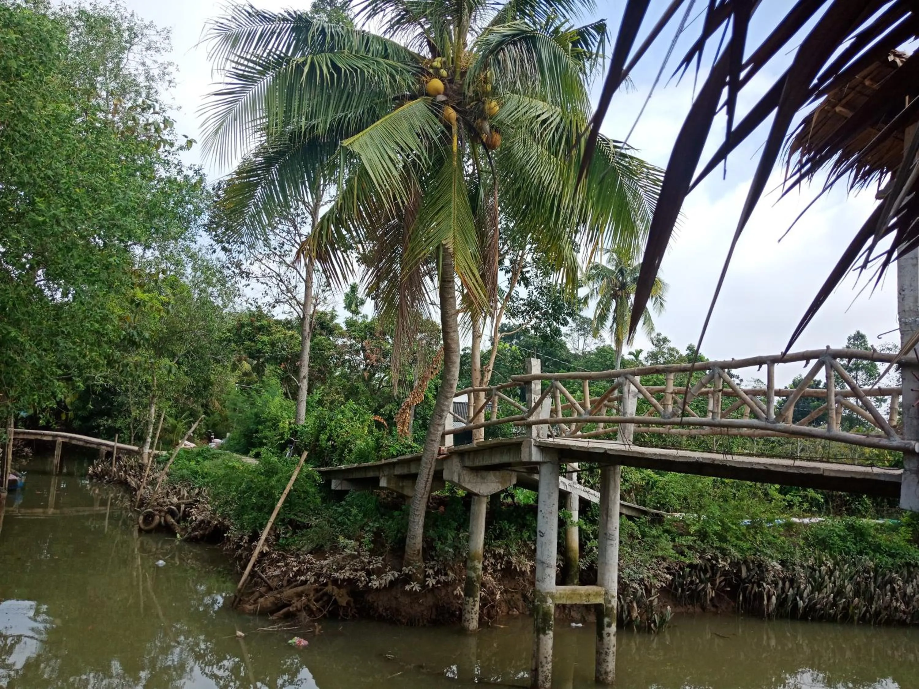mekong riverside homestay