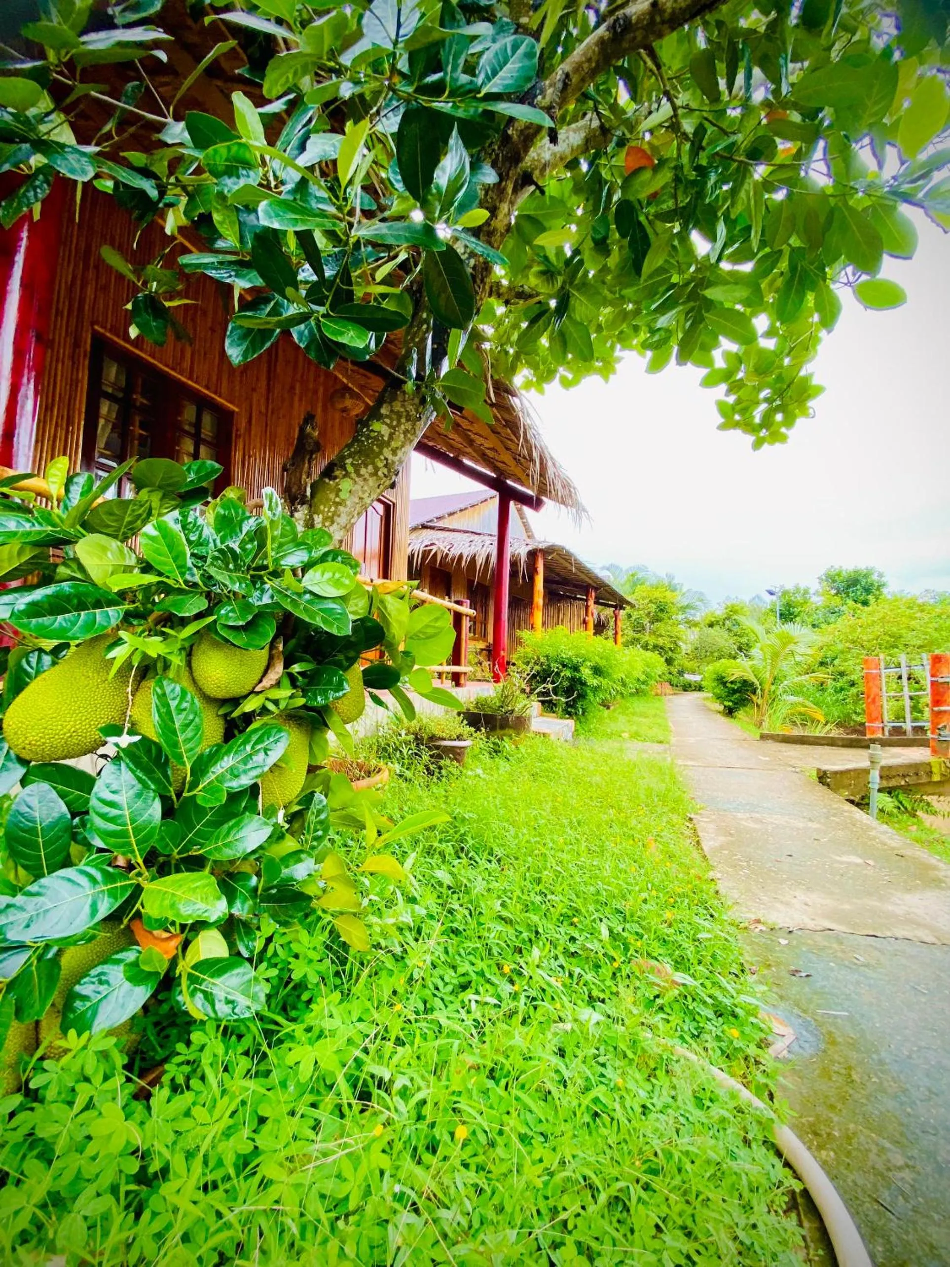 mekong riverside homestay