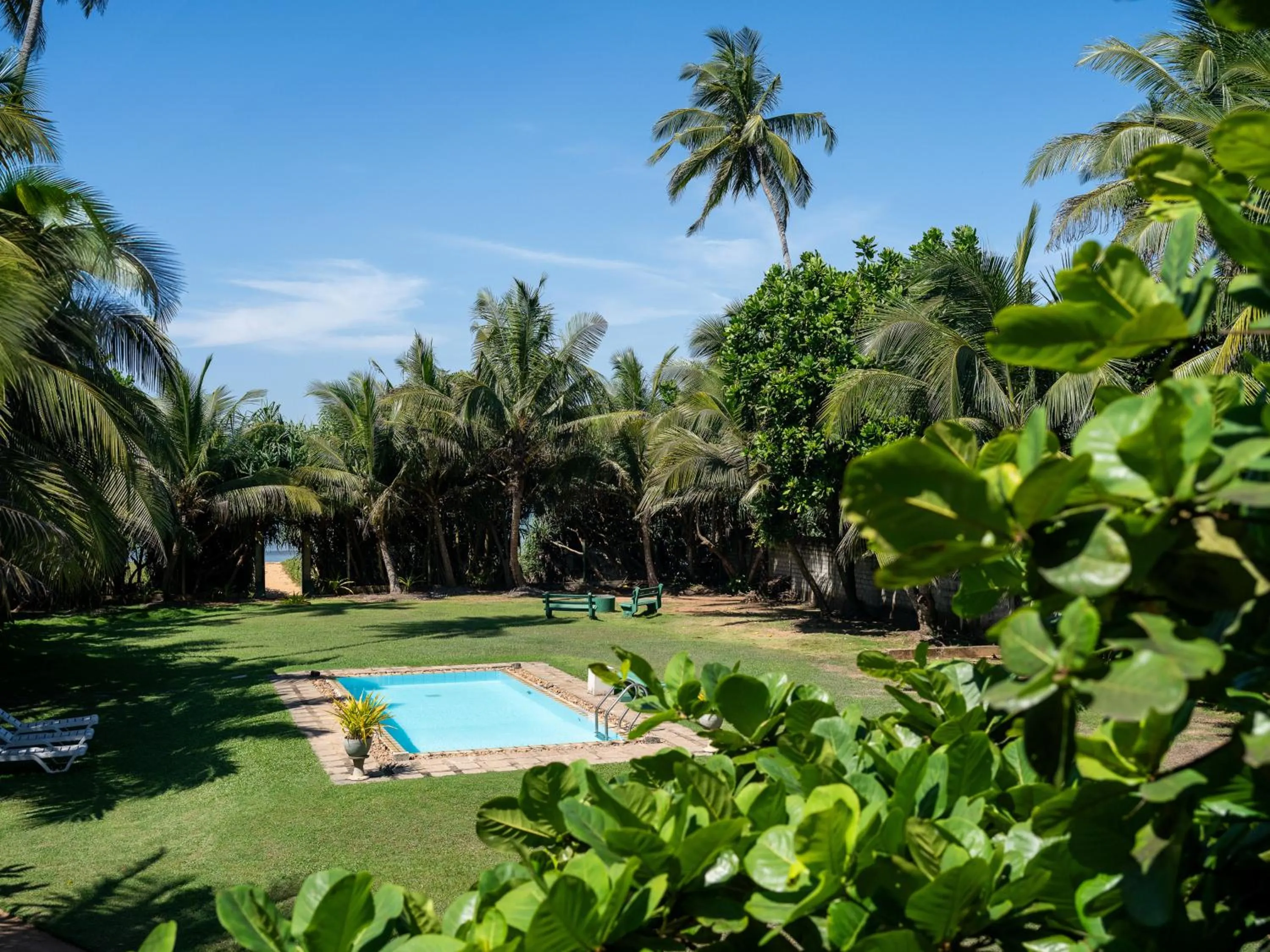 Garden view in Villa Sunbird Negombo