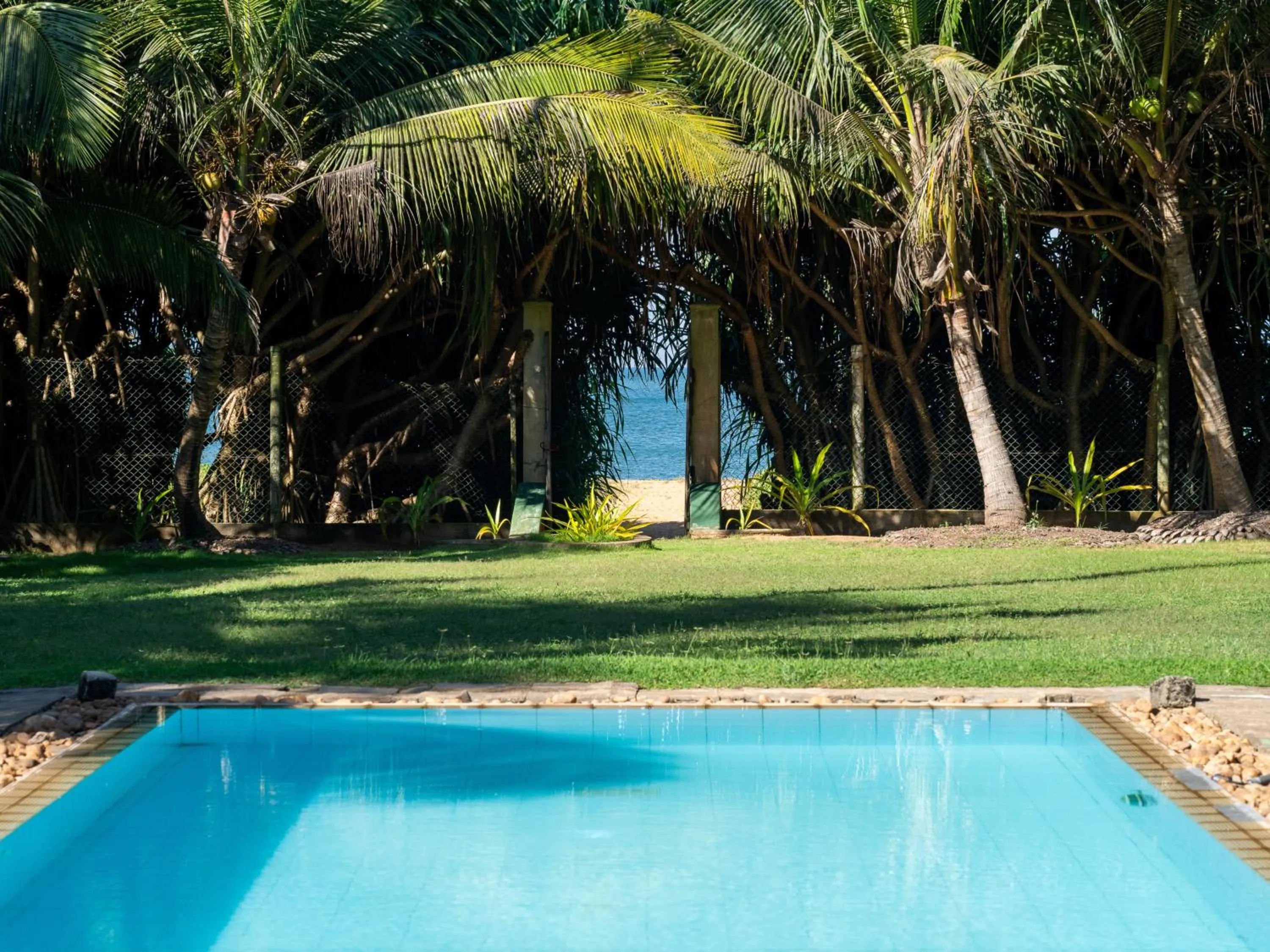 Pool view in Villa Sunbird Negombo