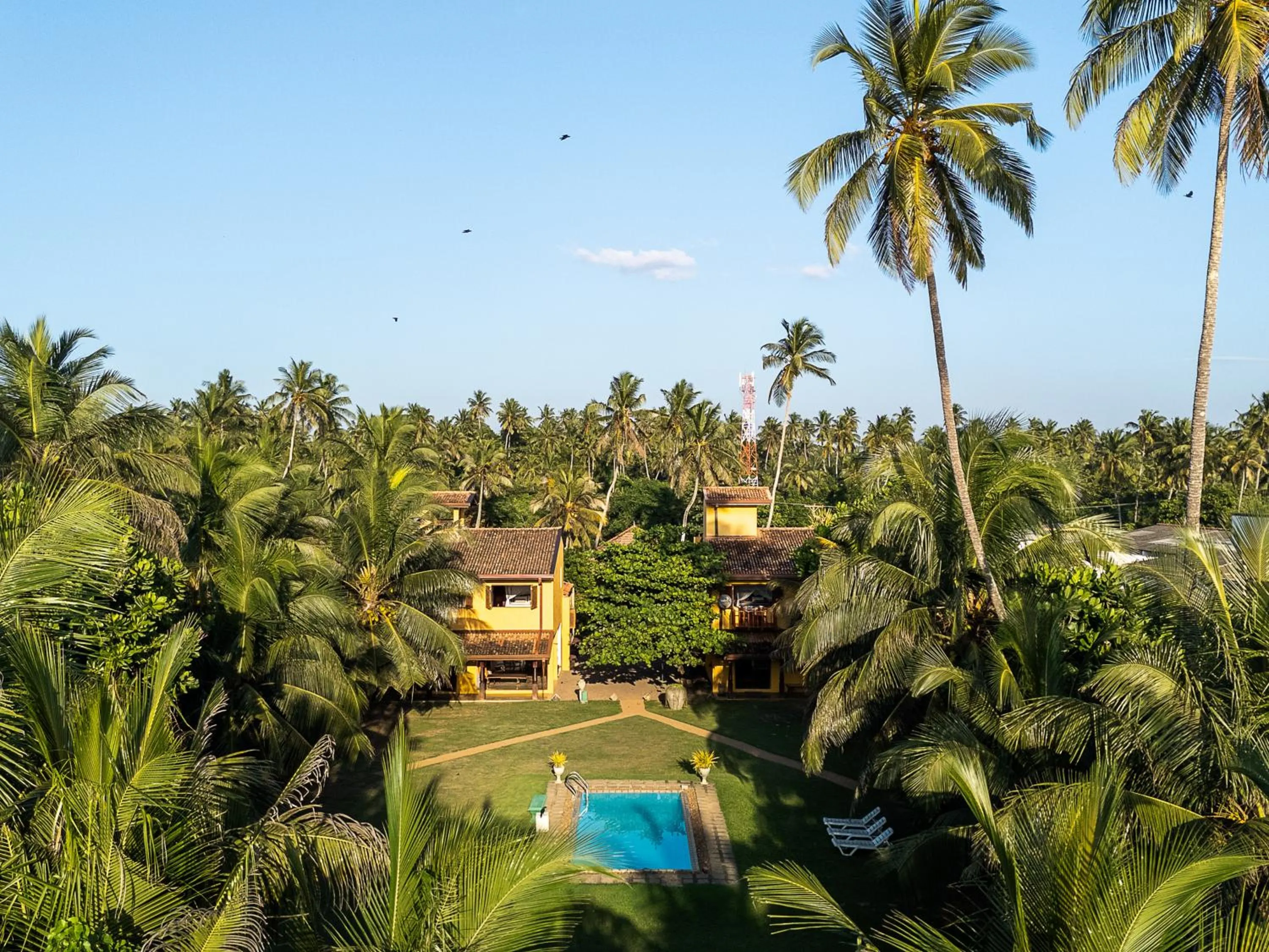 Garden view in Villa Sunbird Negombo