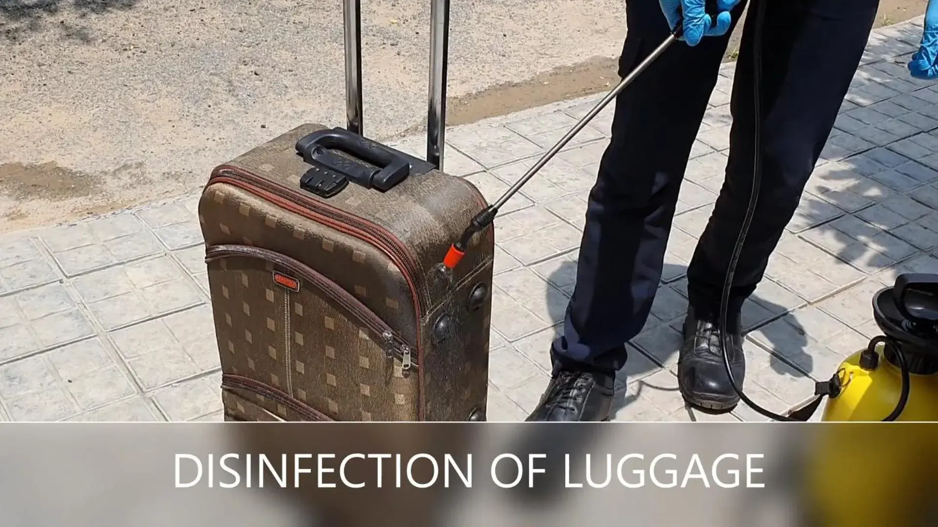 Facade/entrance in Inde Hotel Cyber City Facade/entrance in Inde Hotel Cyber City