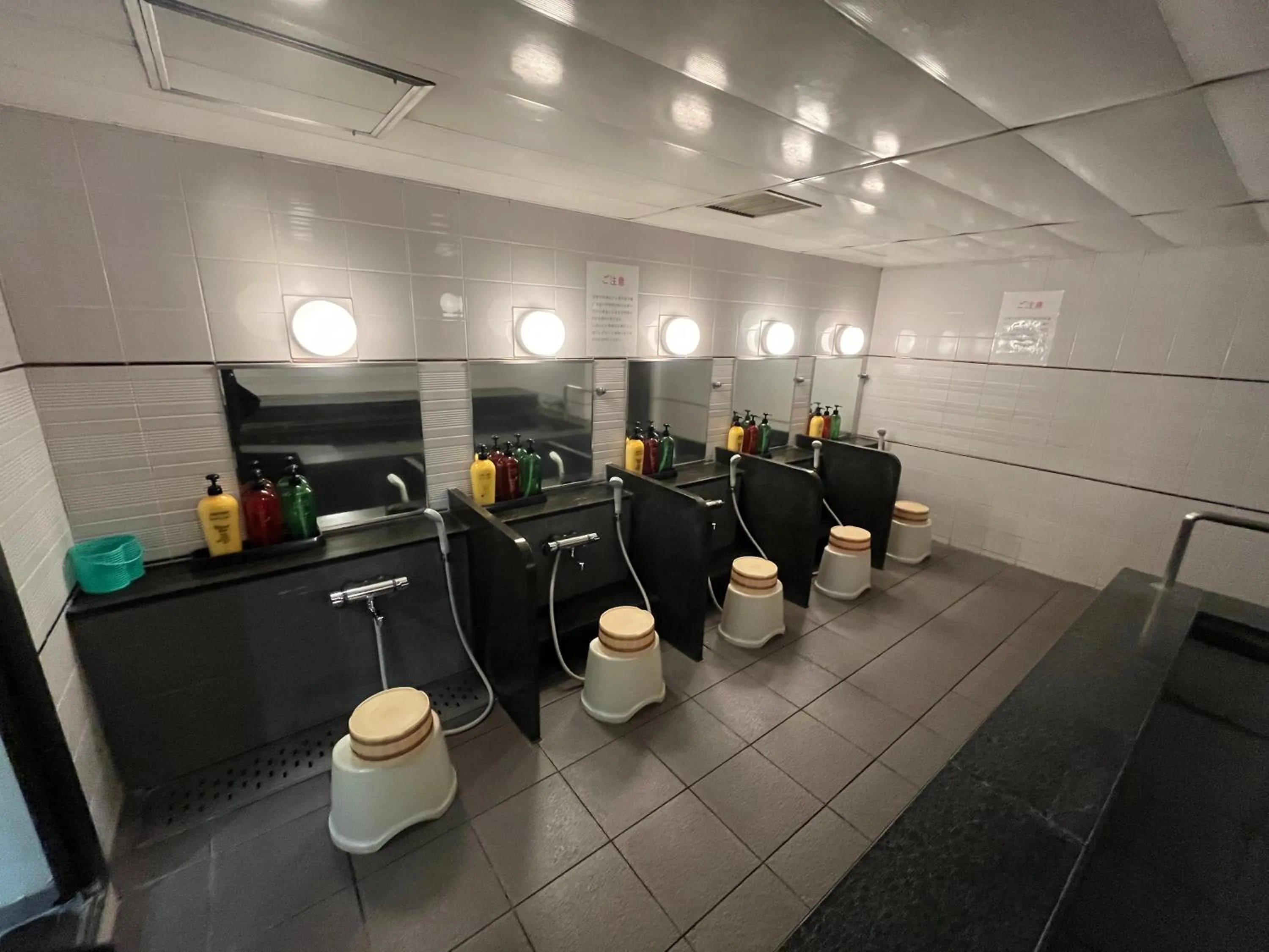 Public Bath in Nakamuraya Ryokan