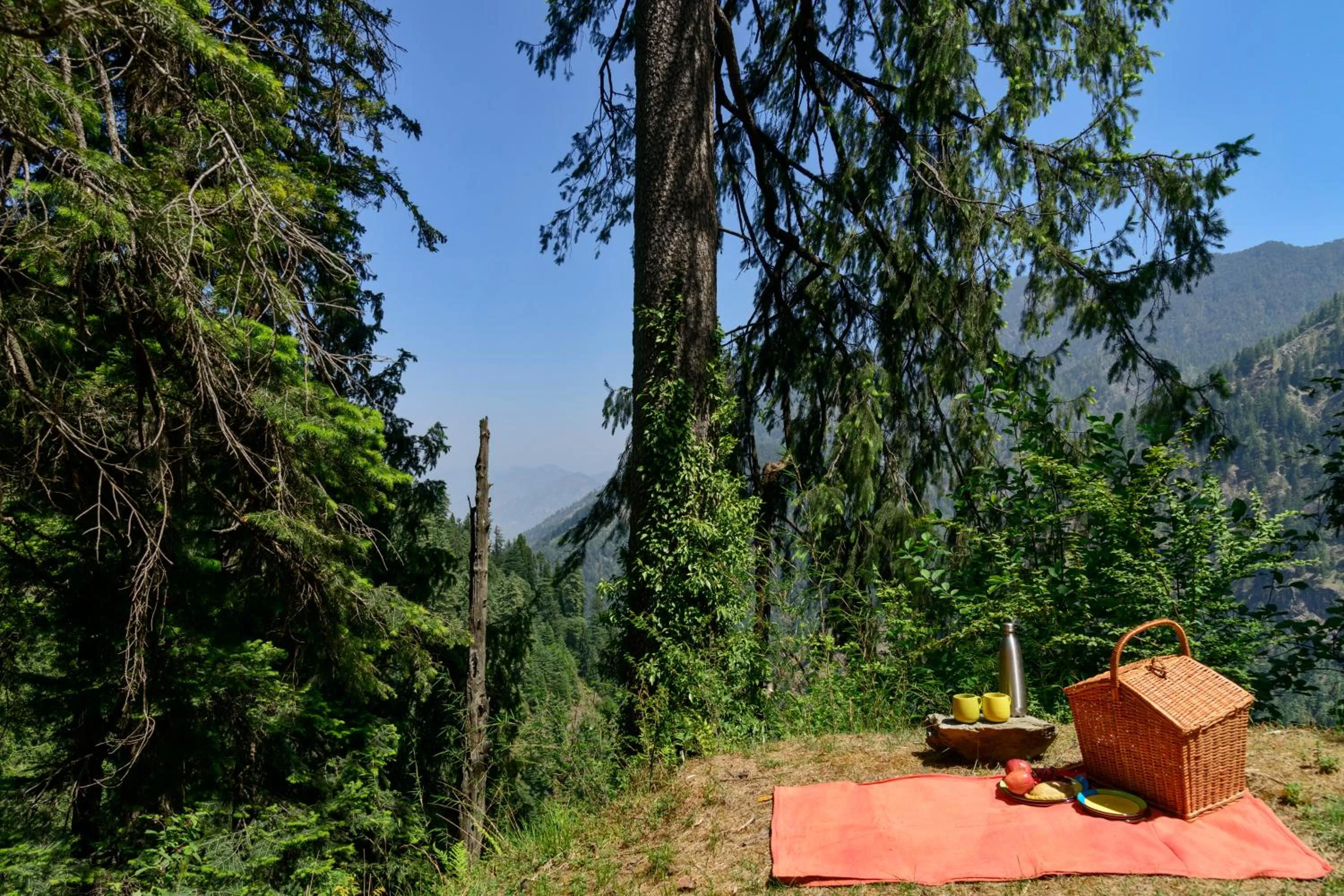 Banjara Retreat and Cottage Sojha