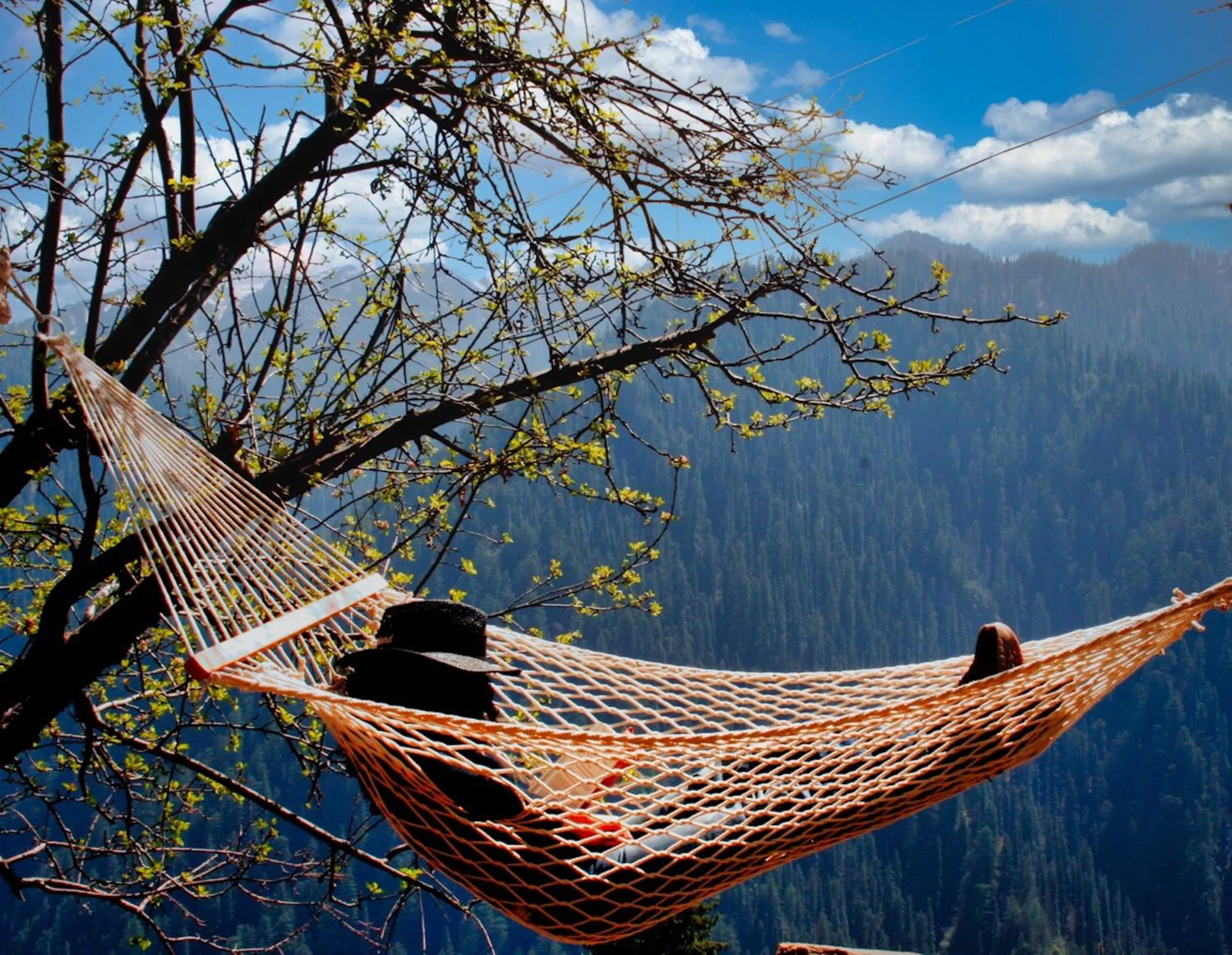 Mountain view in Banjara Retreat and Cottage Sojha