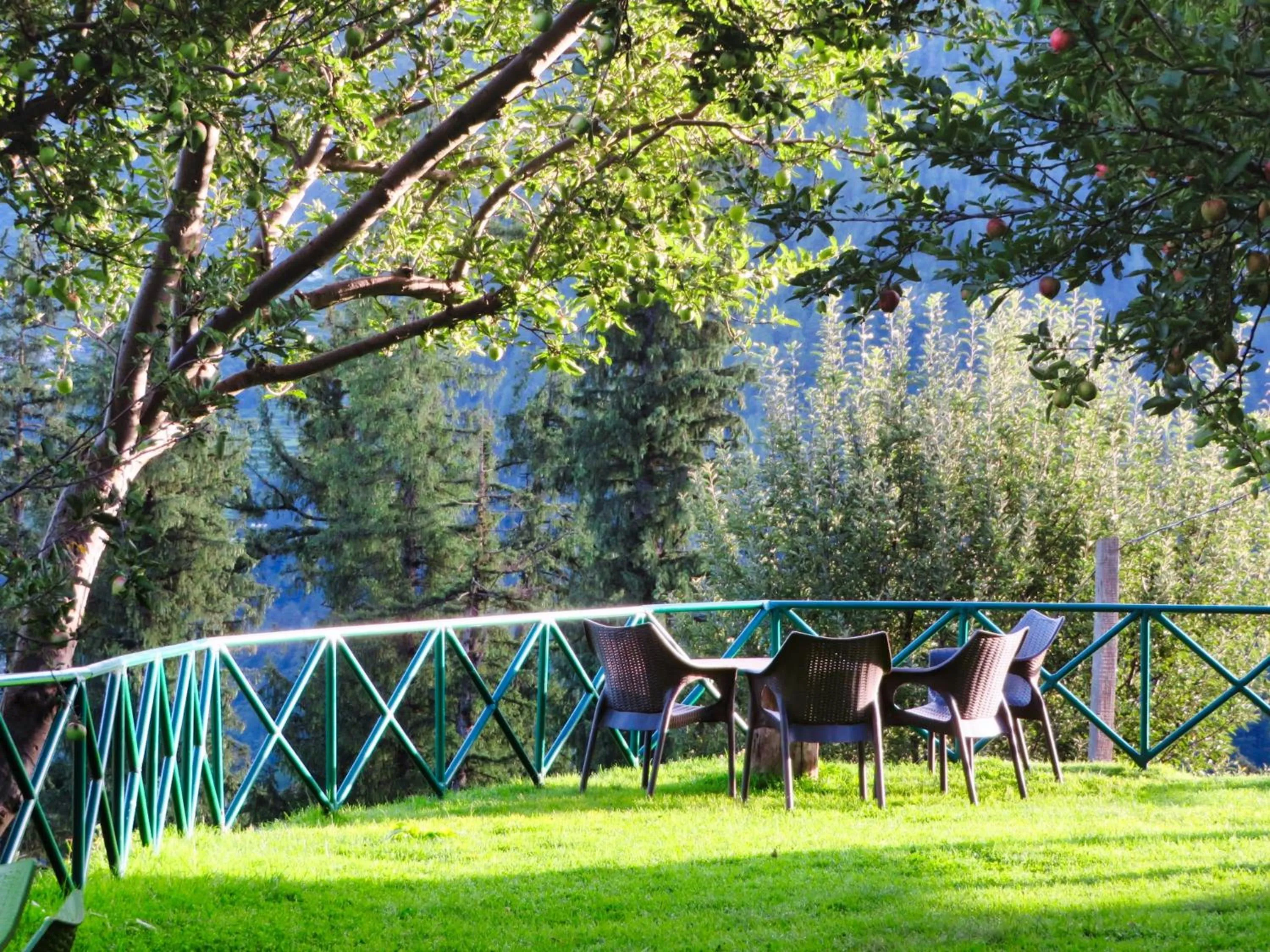 Garden view in Banjara Retreat and Cottage Sojha