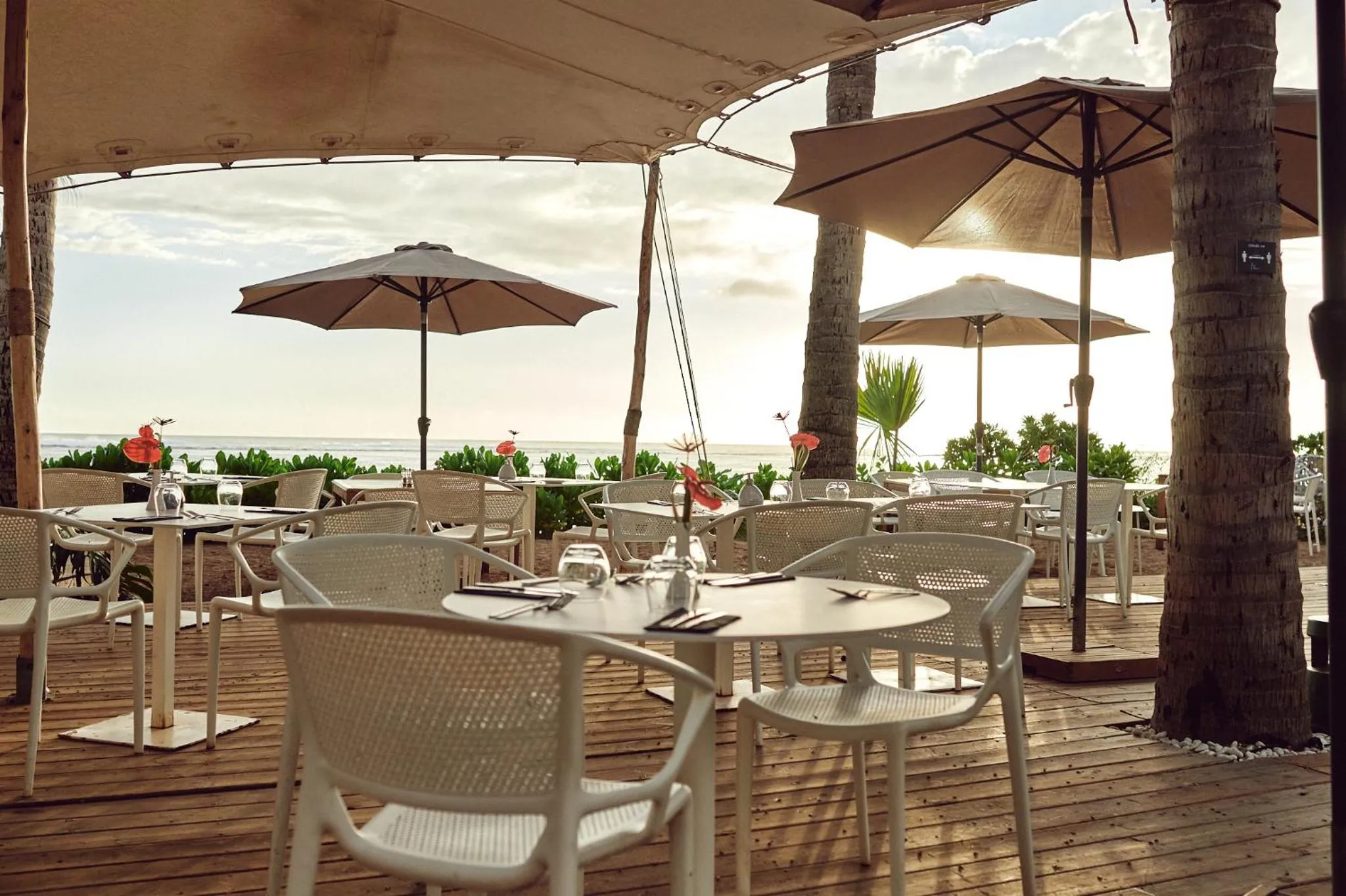 Restaurant/places to eat in Ness by D-Ocean