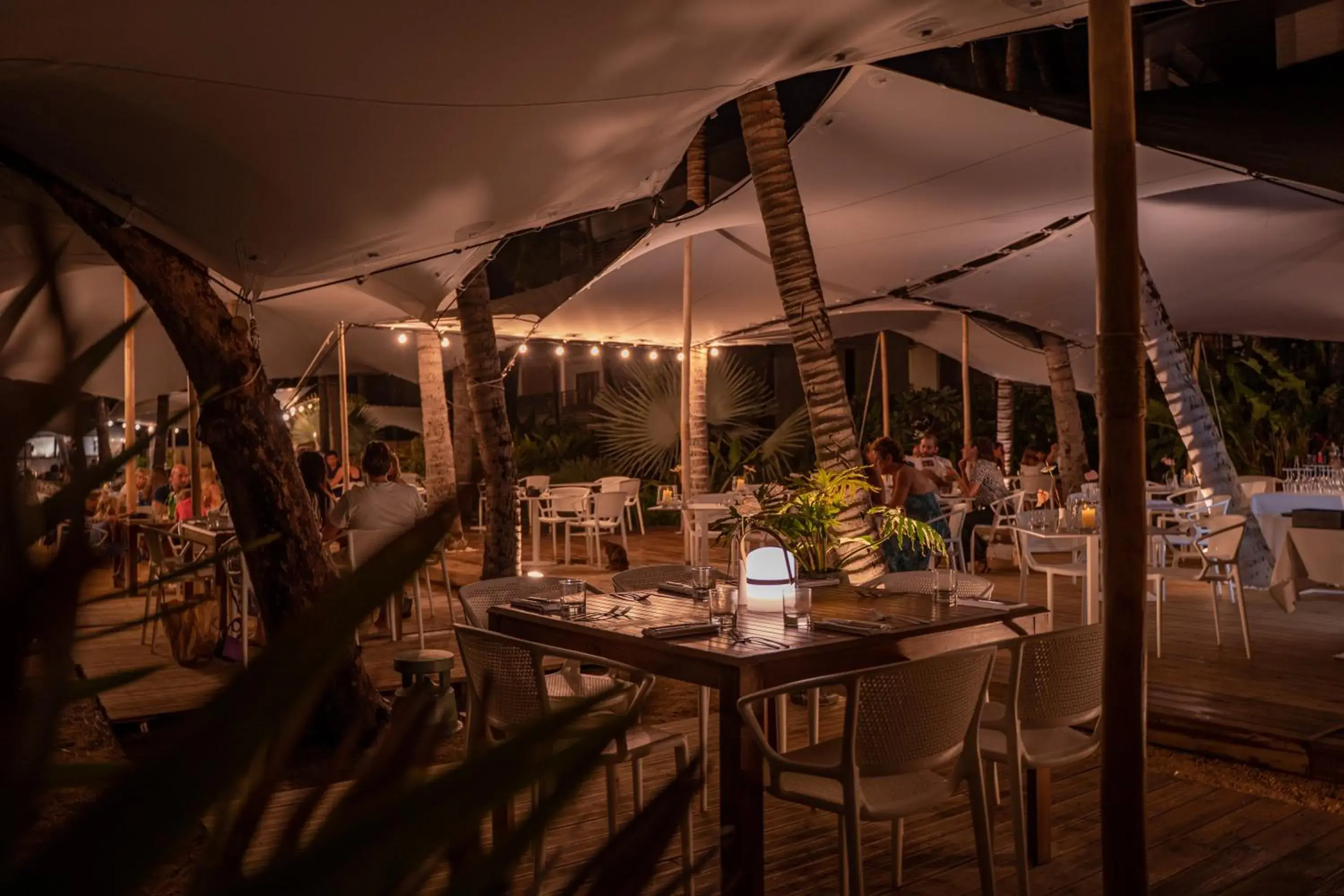 Restaurant/places to eat in Ness by D-Ocean Restaurant/places to eat in Ness by D-Ocean