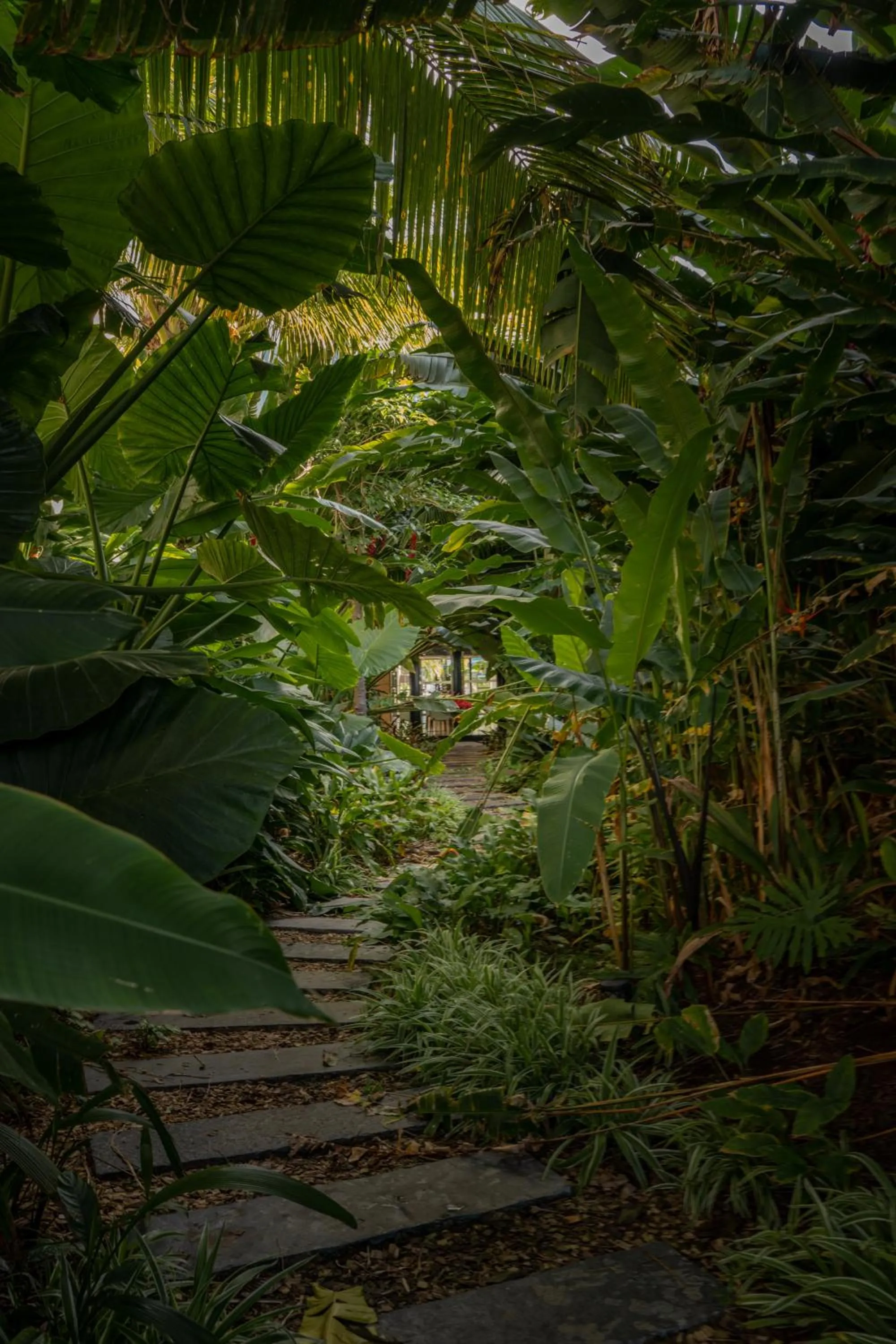 Garden in Ness by D-Ocean