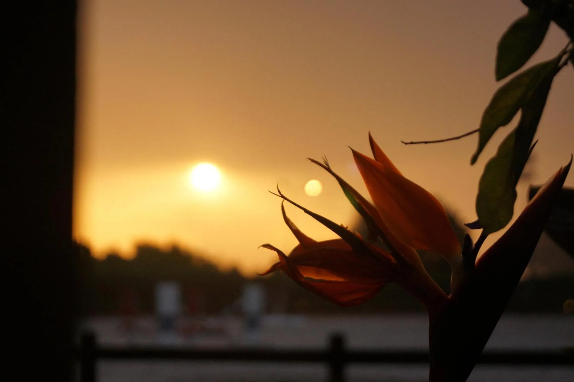 Spring in Padok Premium Hotel & Stables