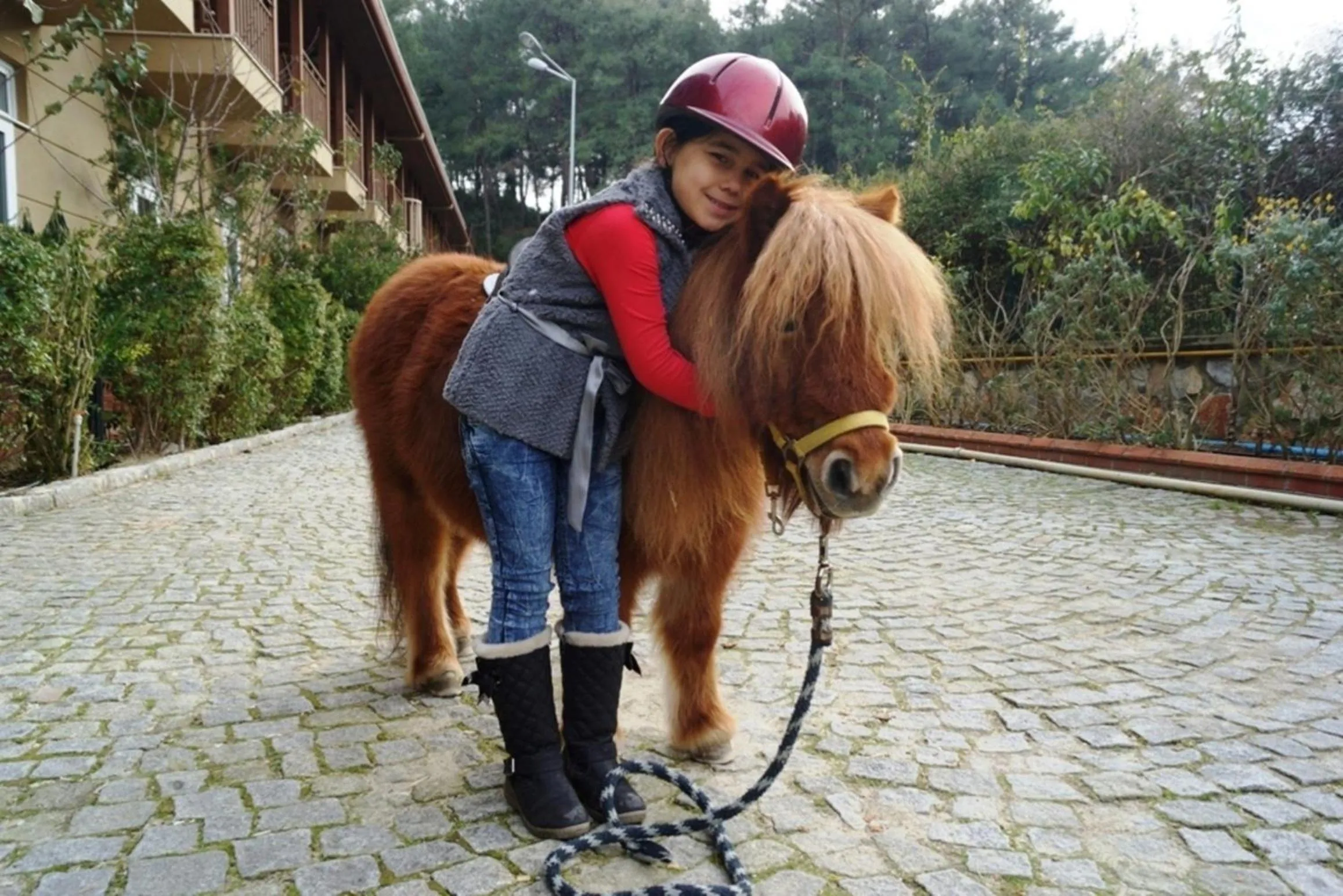 Horse-riding in Padok Premium Hotel & Stables