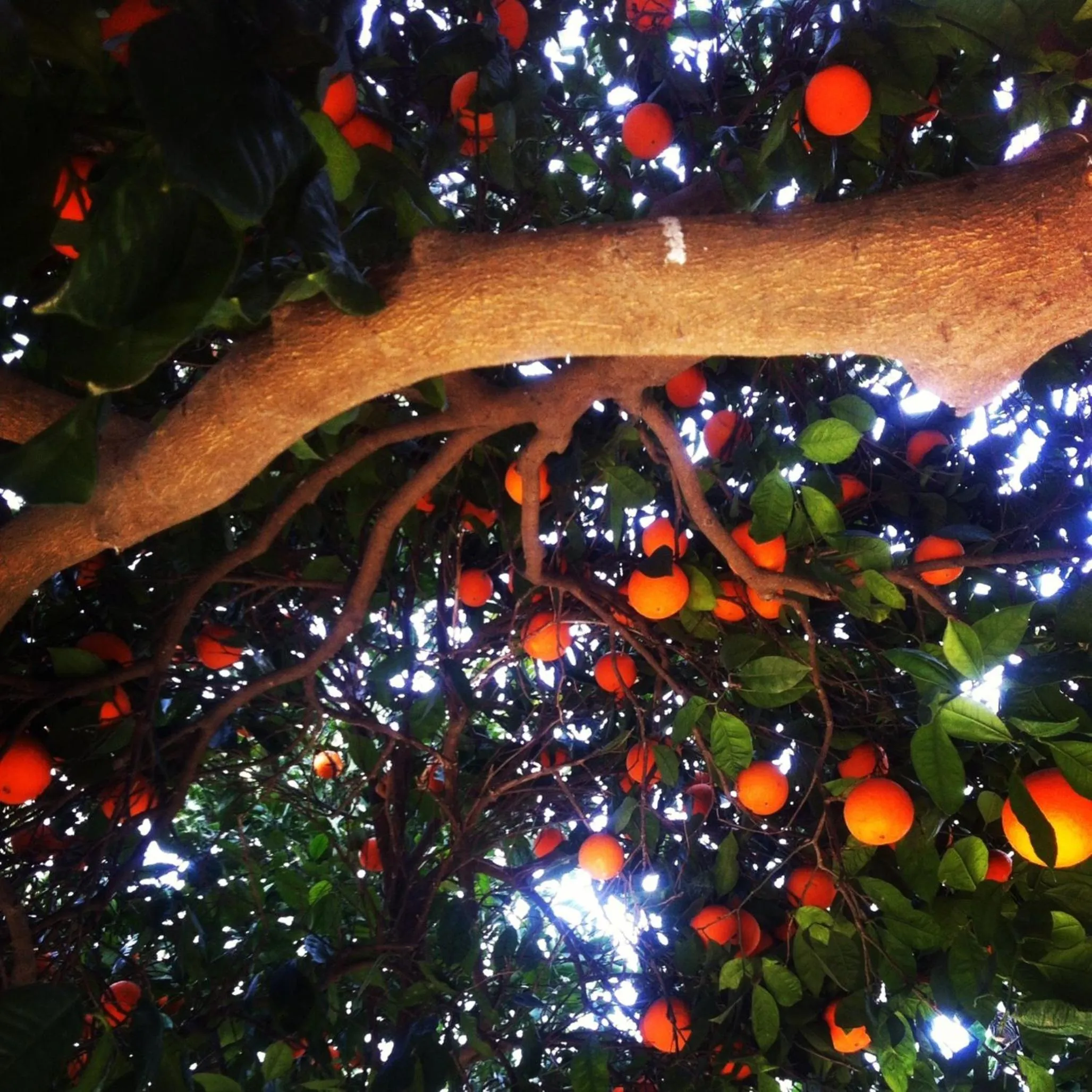 Natural landscape in Padok Premium Hotel & Stables