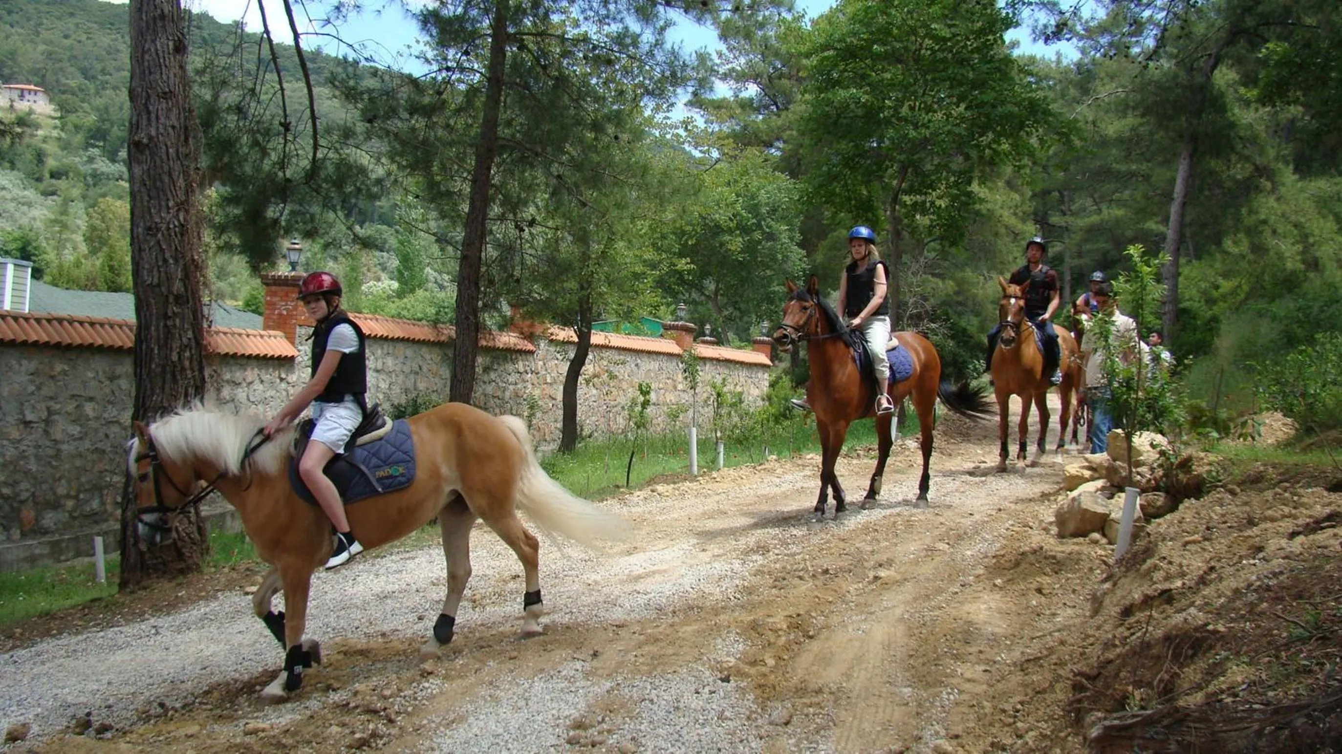 Horse-riding in Padok Premium Hotel & Stables