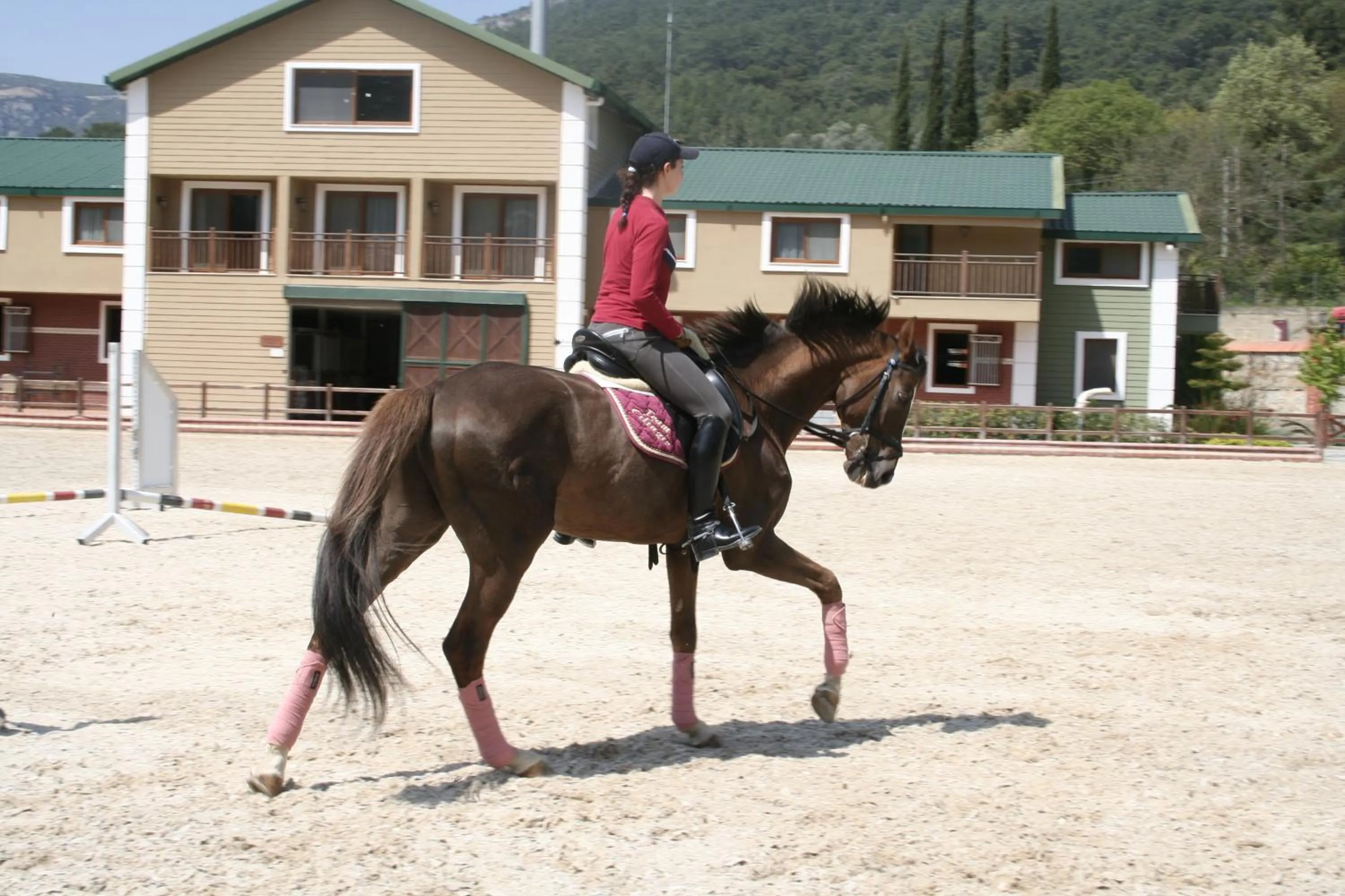 Horse-riding in Padok Premium Hotel & Stables
