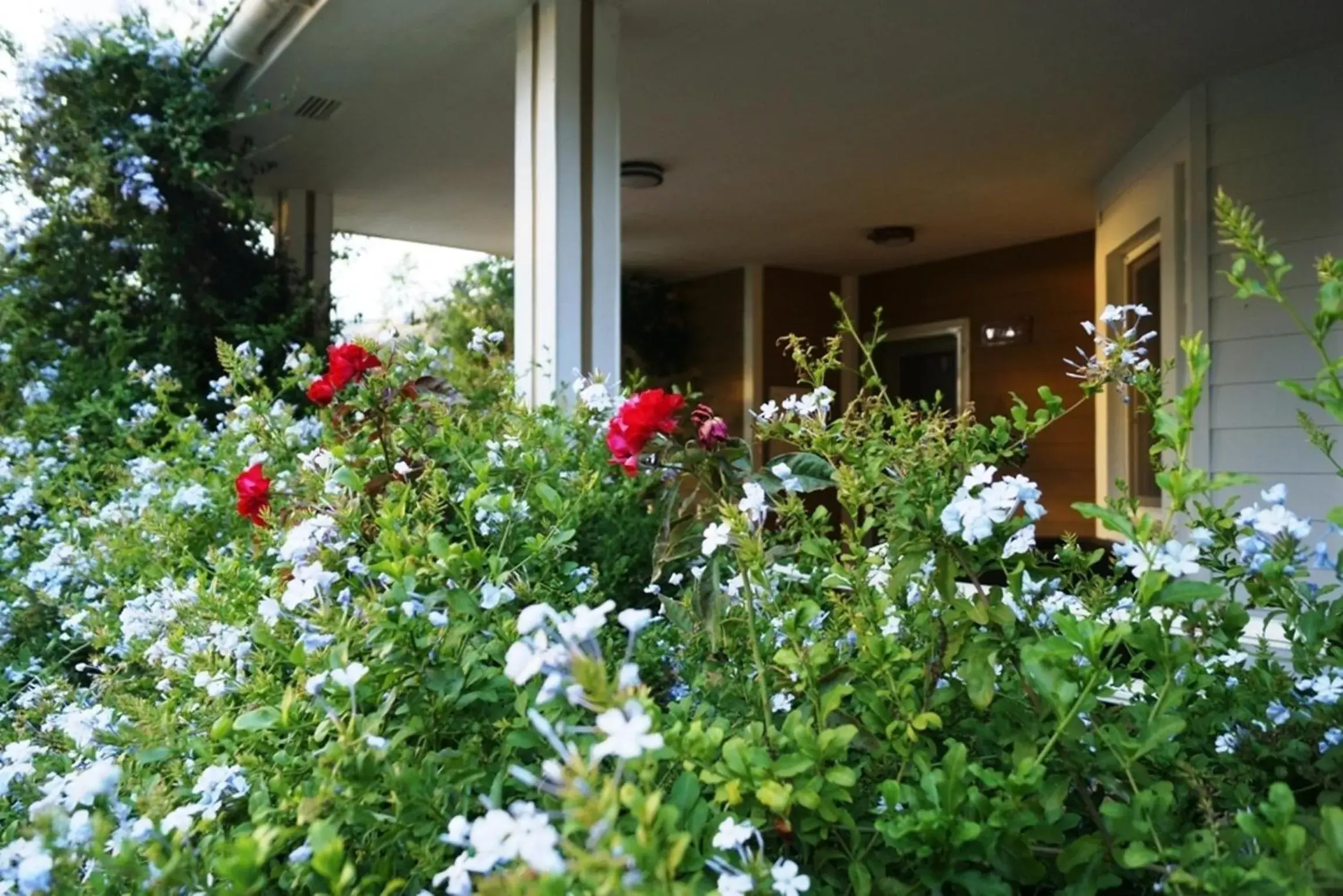 View (from property/room) in Padok Premium Hotel & Stables View (from property/room) in Padok Premium Hotel & Stables