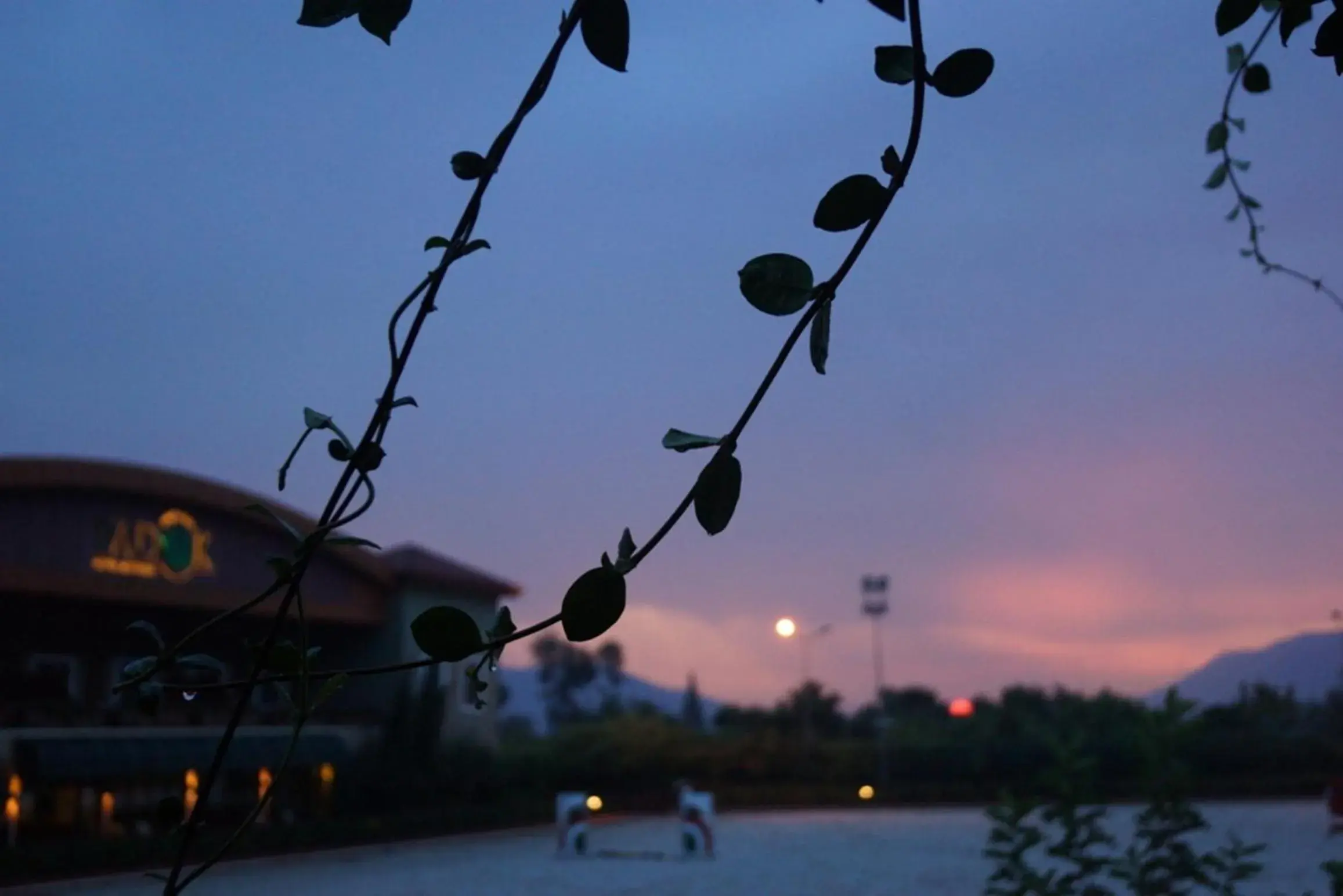 Property building in Padok Premium Hotel & Stables Property building in Padok Premium Hotel & Stables