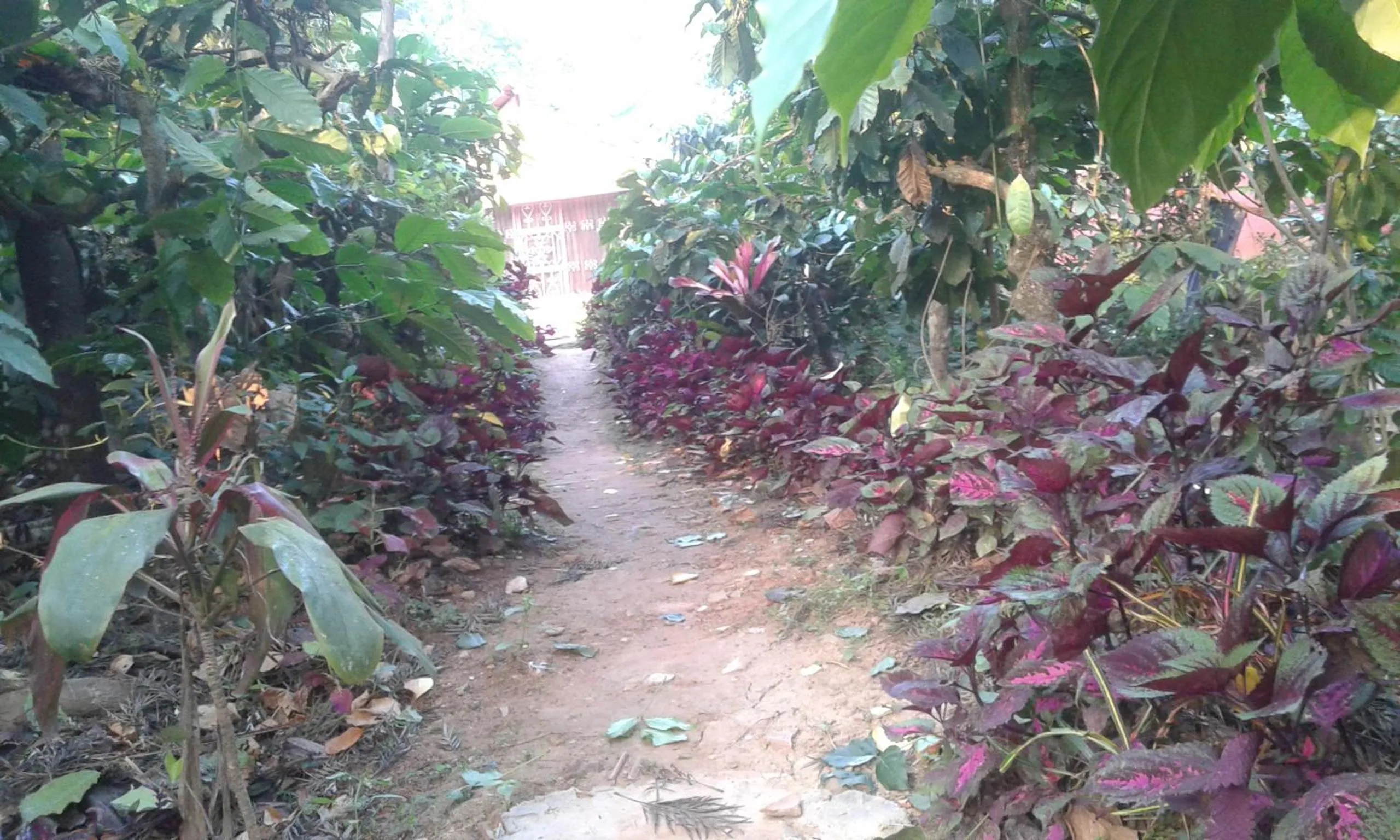 Dreams Home Estate Stay