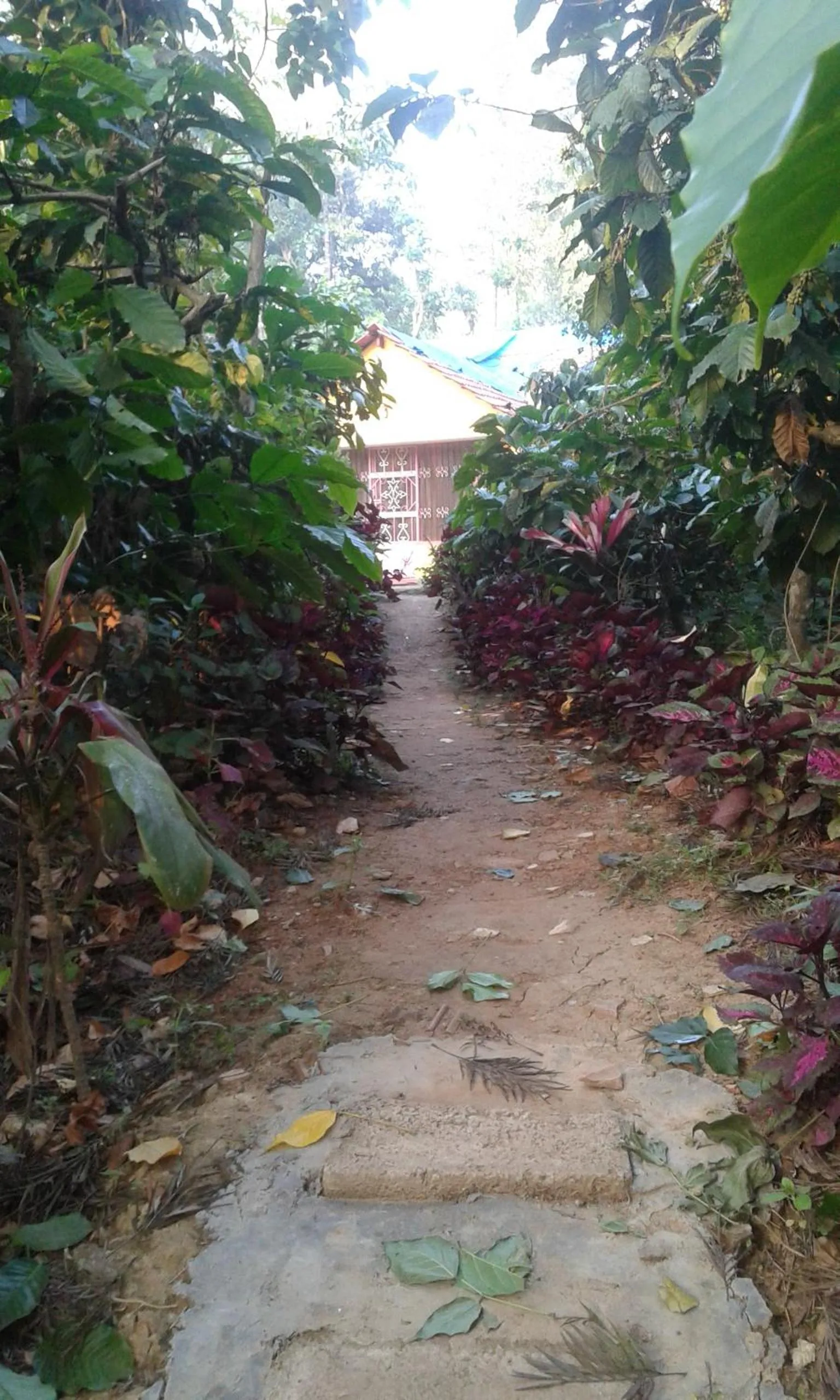 Dreams Home Estate Stay