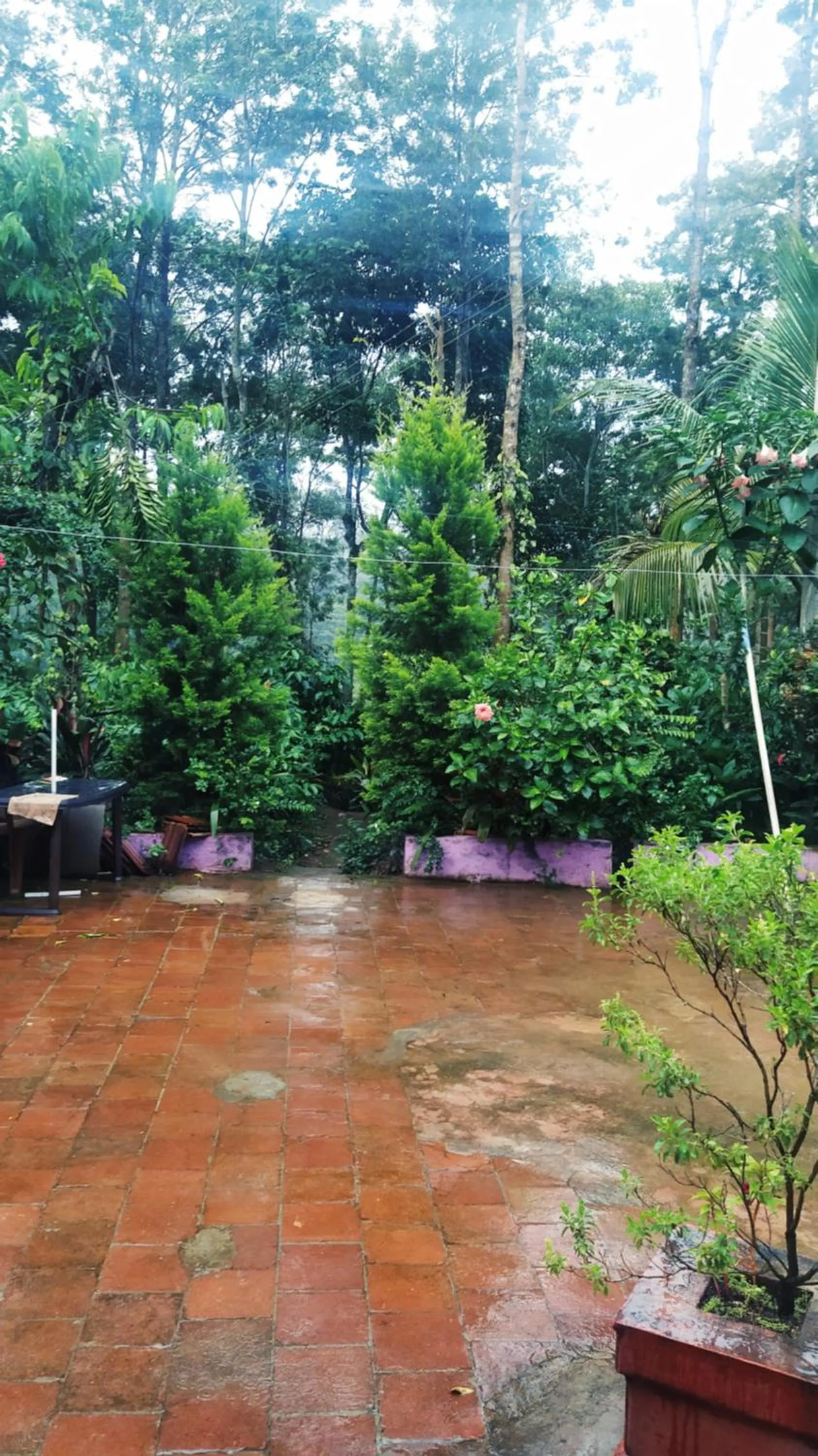 Dreams Home Estate Stay