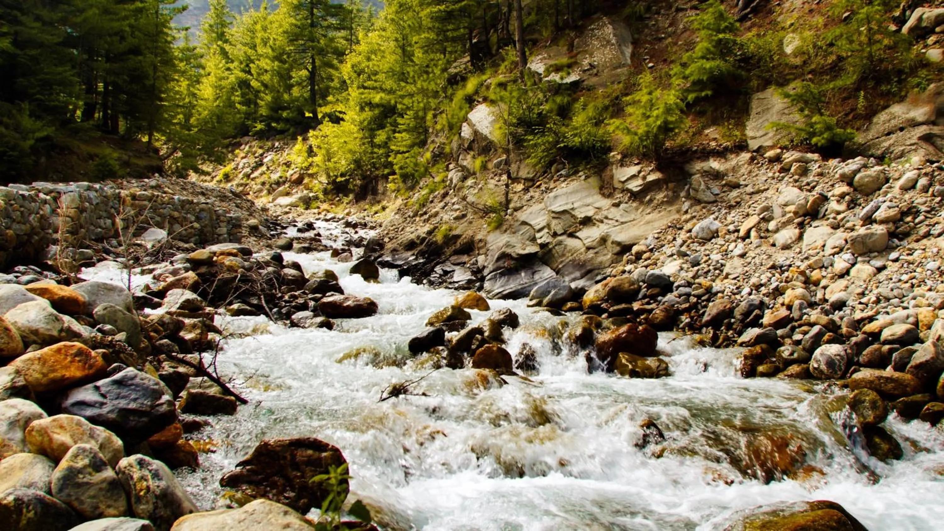 Hiking in Banjara Camp and Retreat Sangla