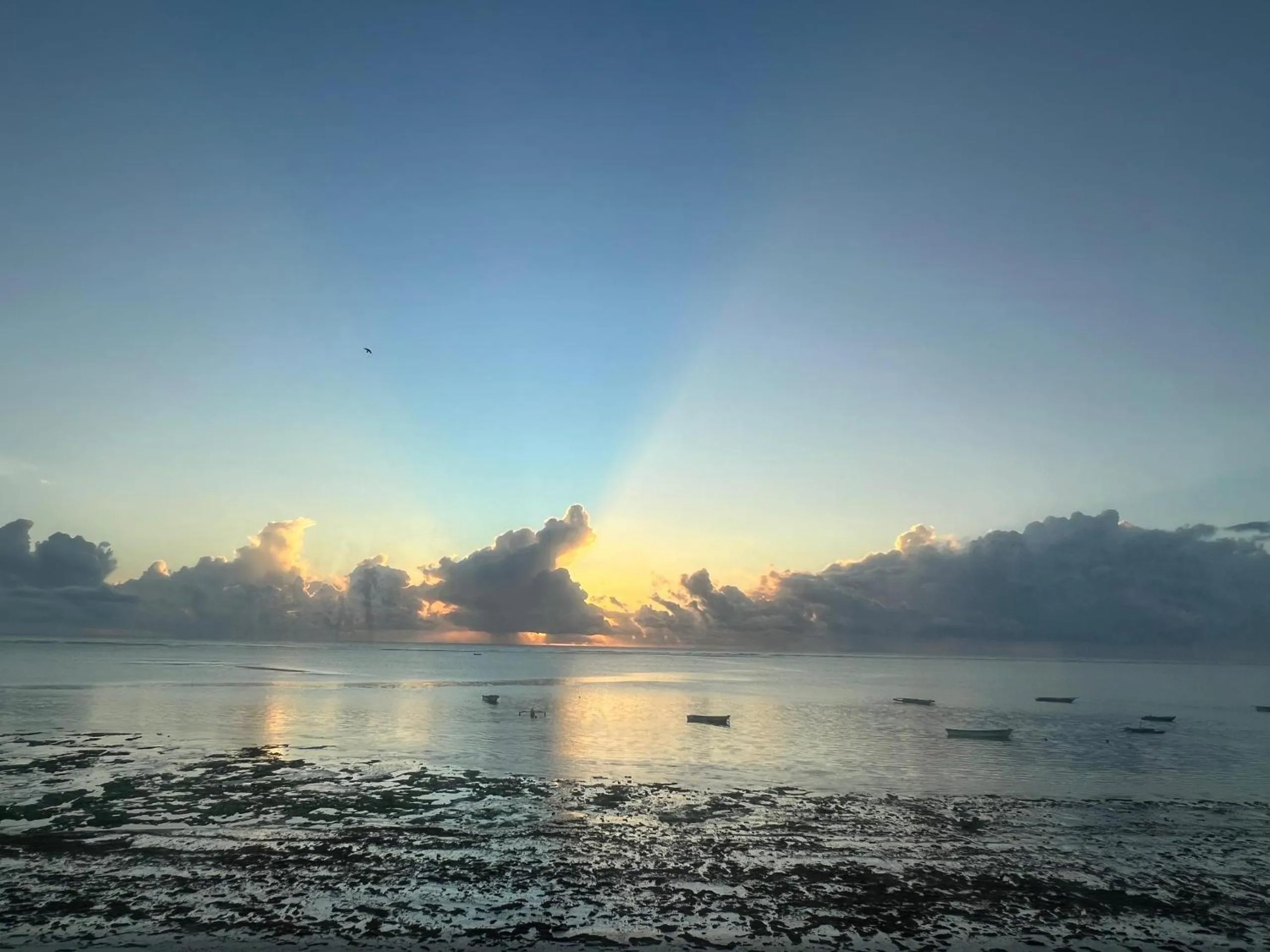 Beach in Sea Crest Hotel