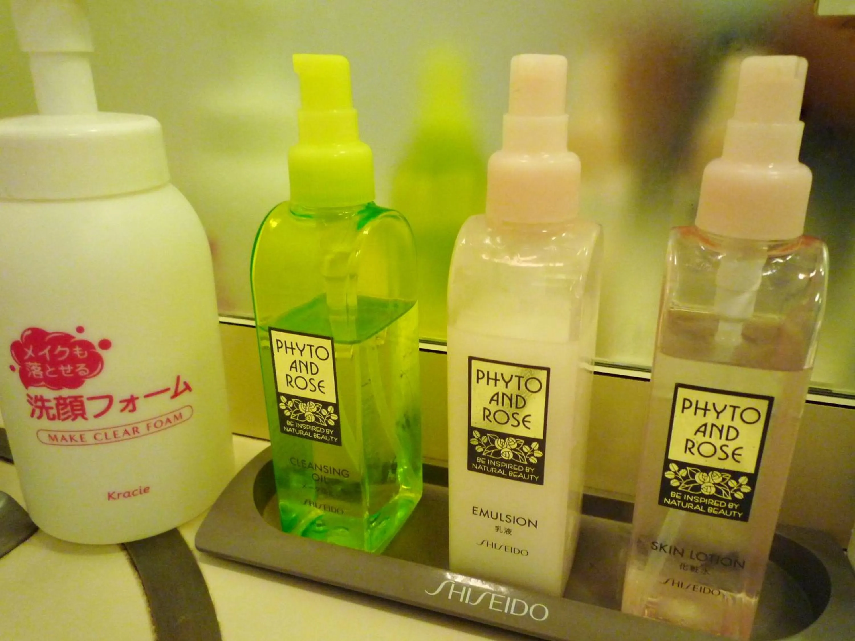 Hot Spring Bath in Yokikan