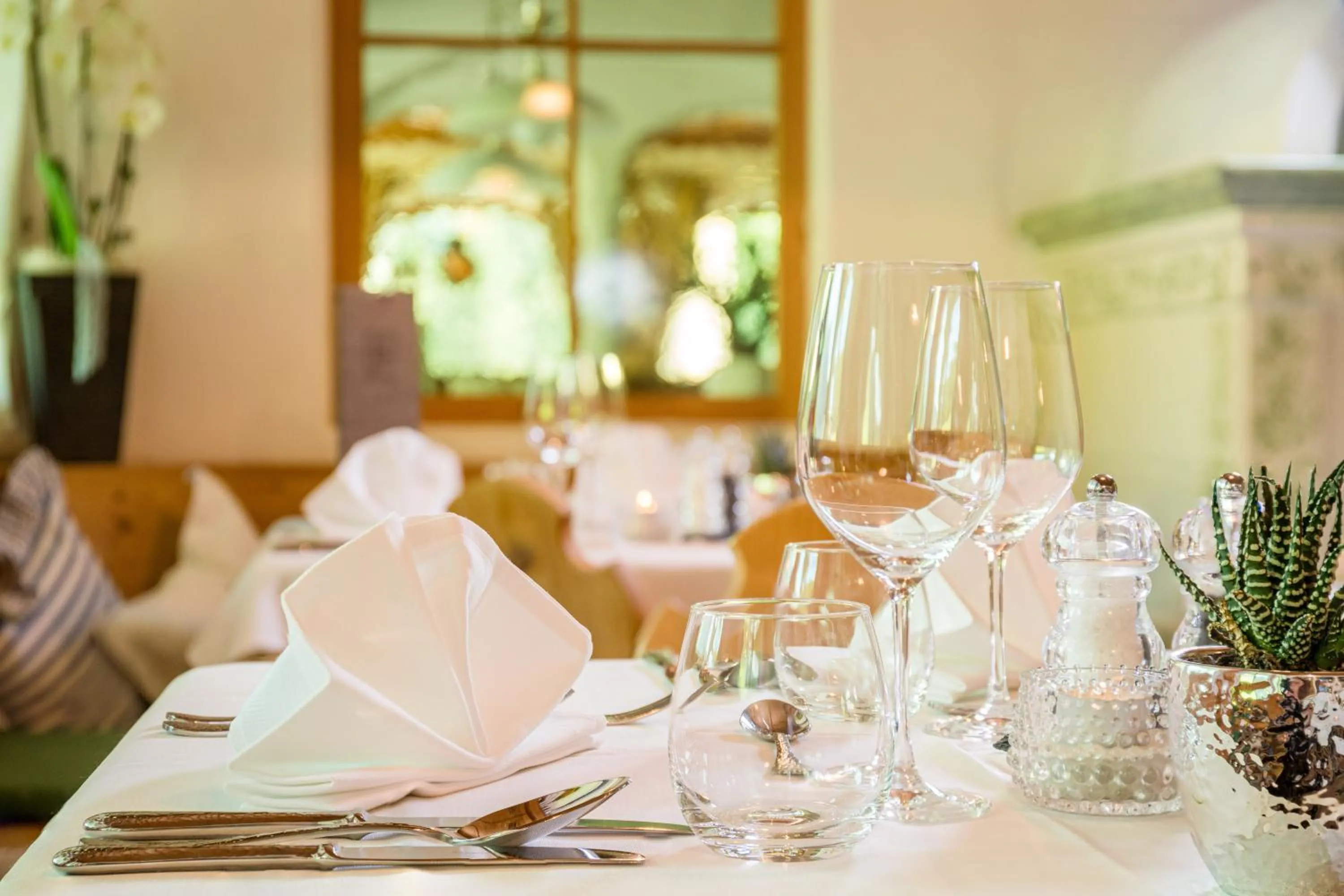 Restaurant/places to eat in Hotel Erika