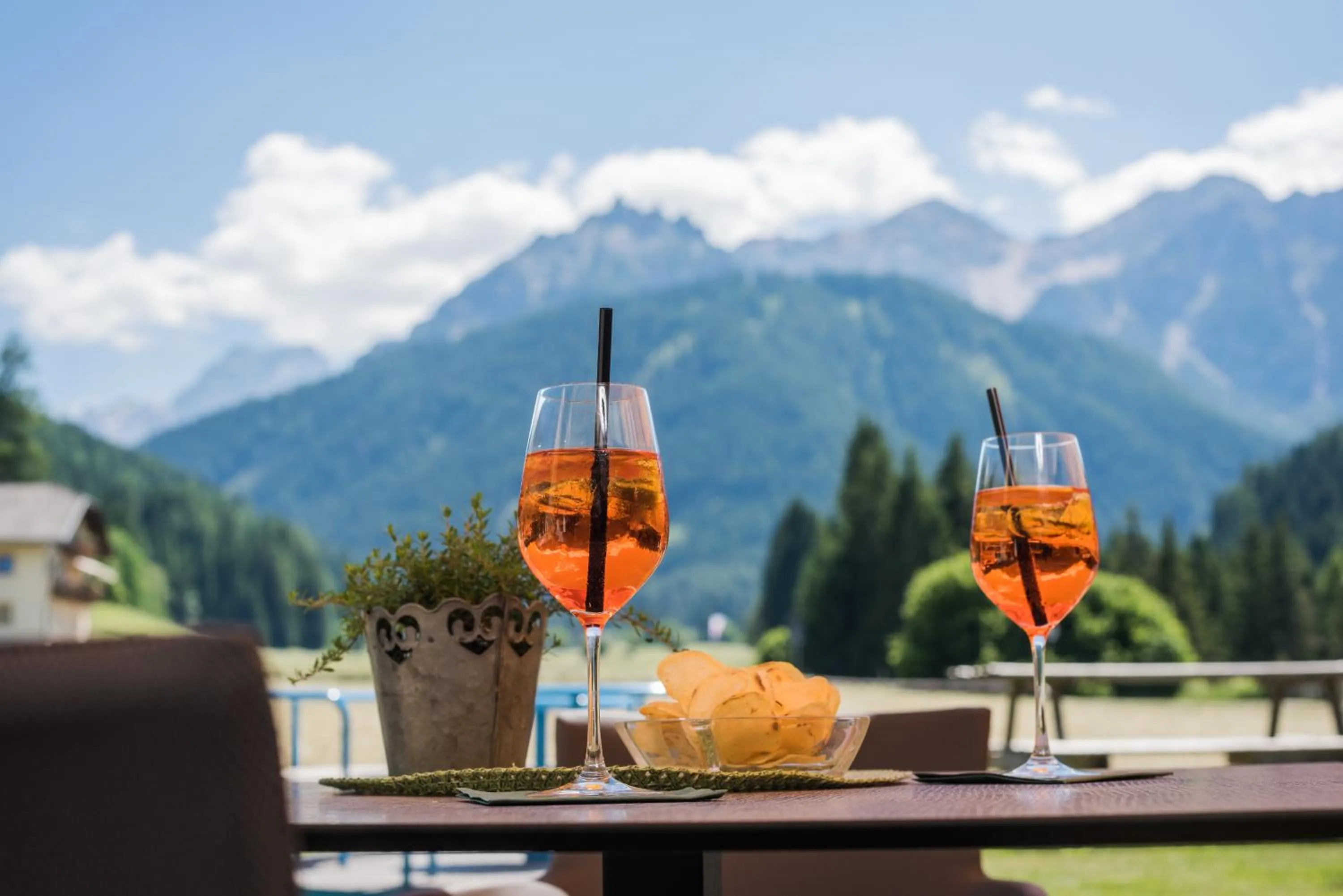 Balcony/Terrace in Hotel Erika