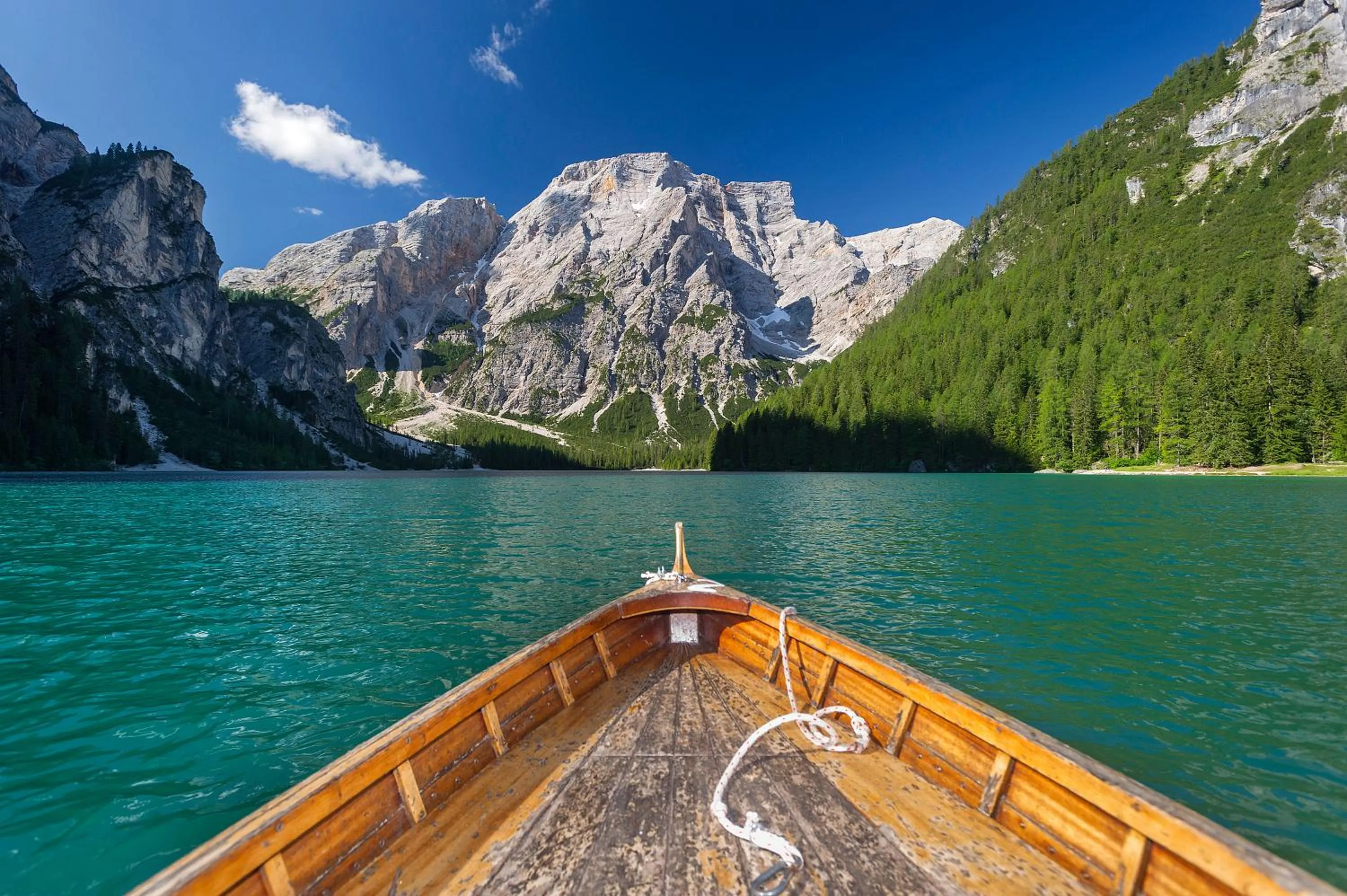 Natural landscape in Hotel Erika