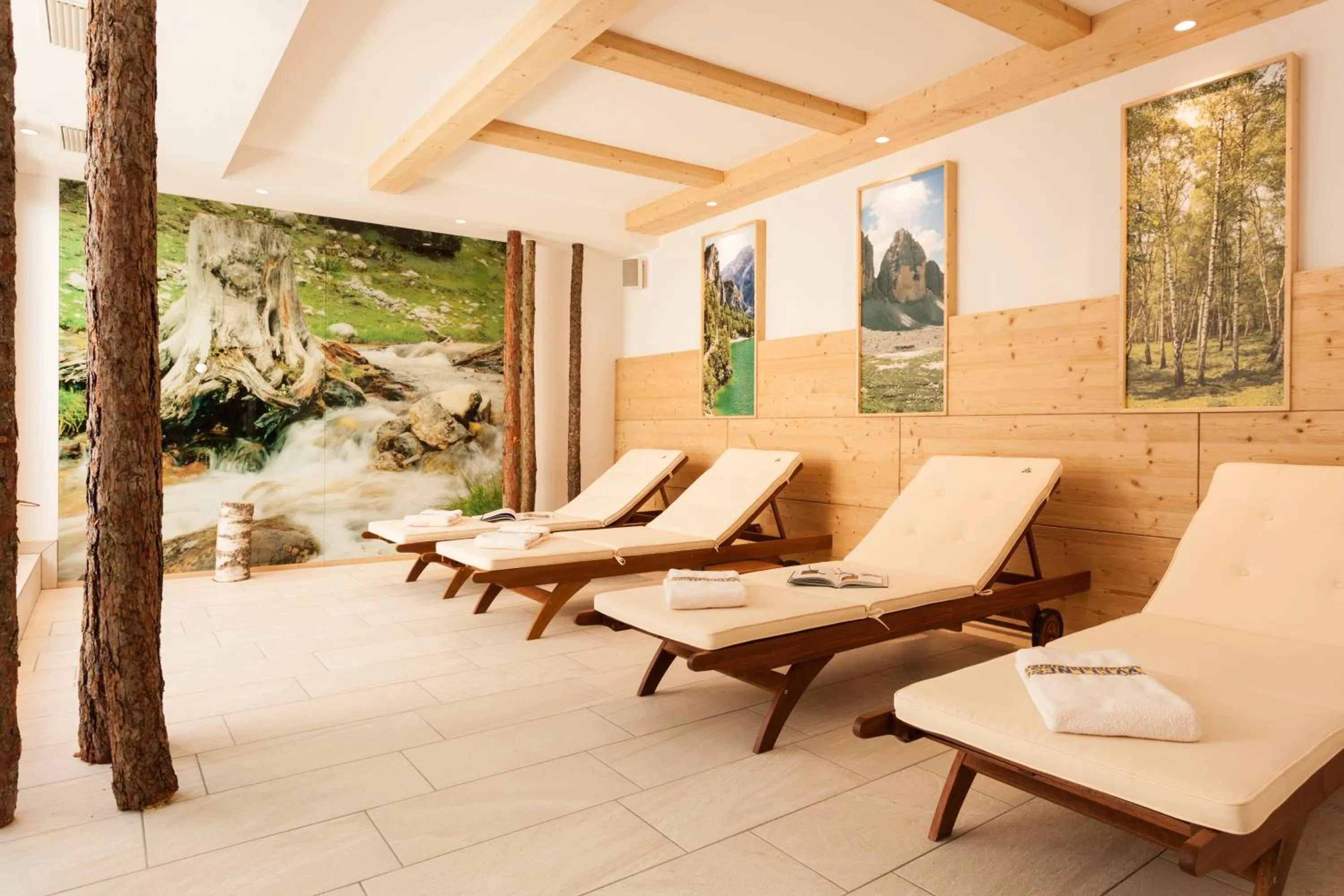 Spa and wellness centre/facilities in Hotel Erika