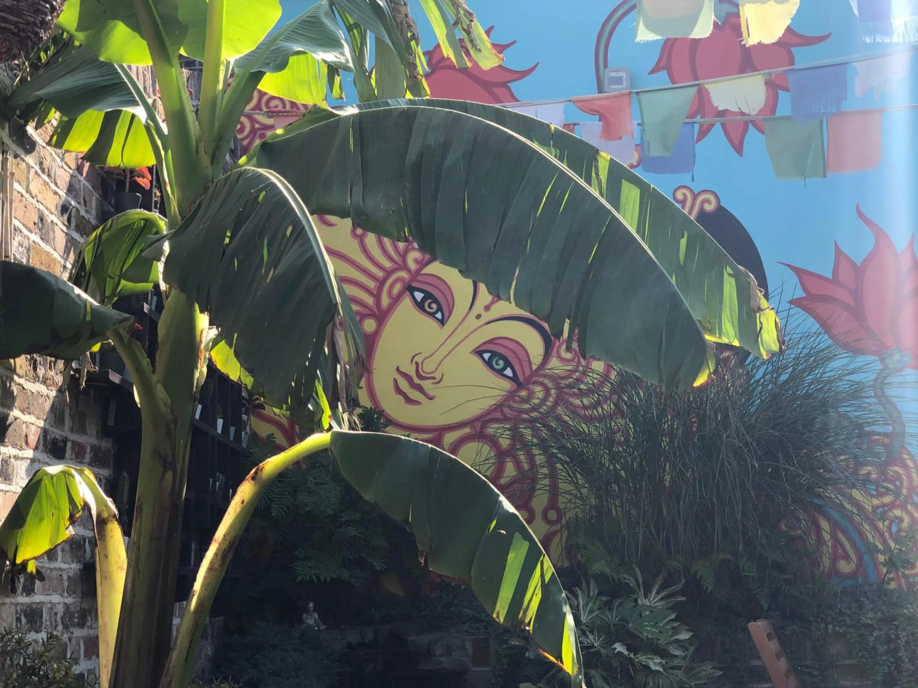 Garden view in The Beetroot