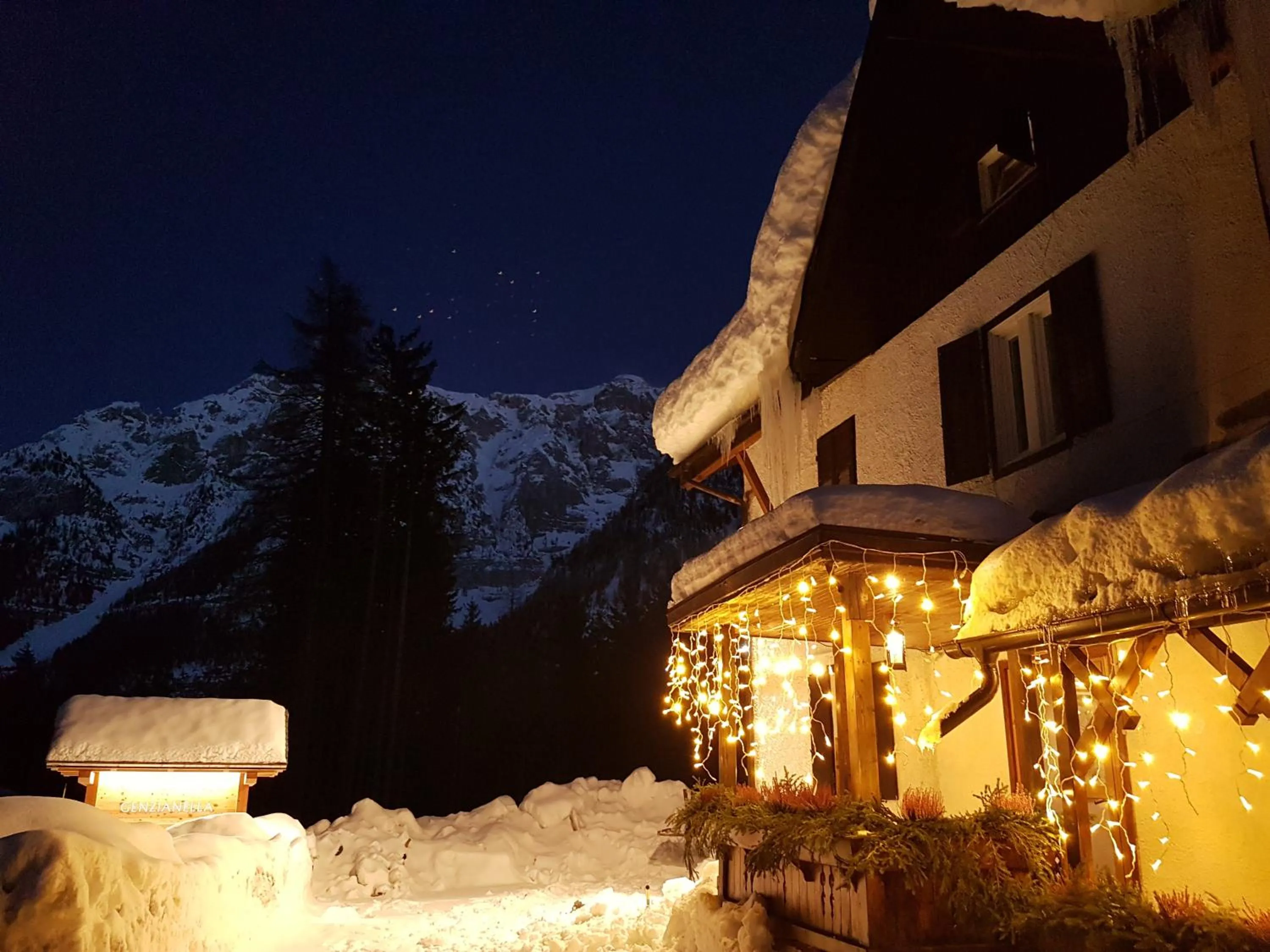 Hotel Ristorante Genzianella