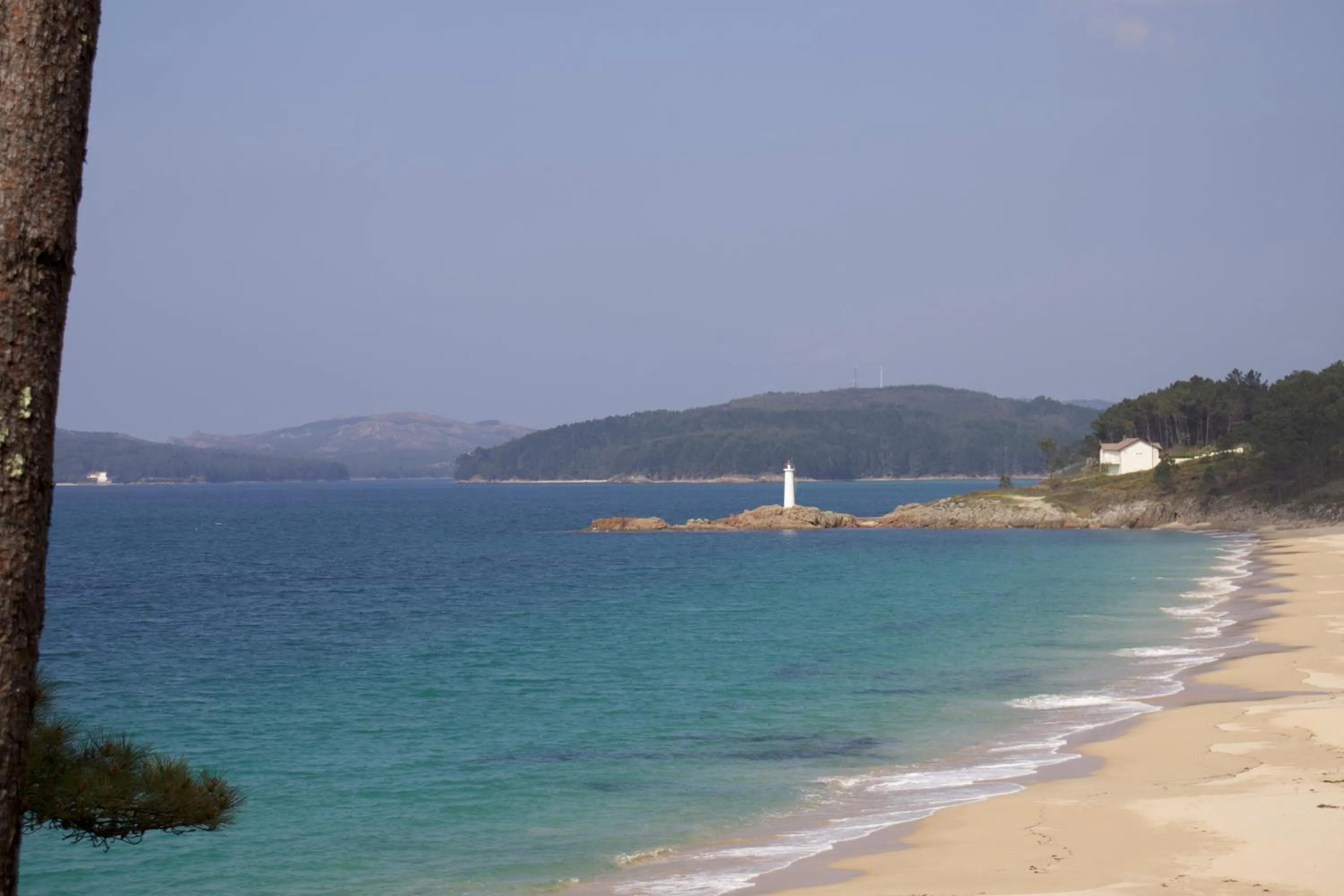Natural landscape in Hotel Playa de Lago