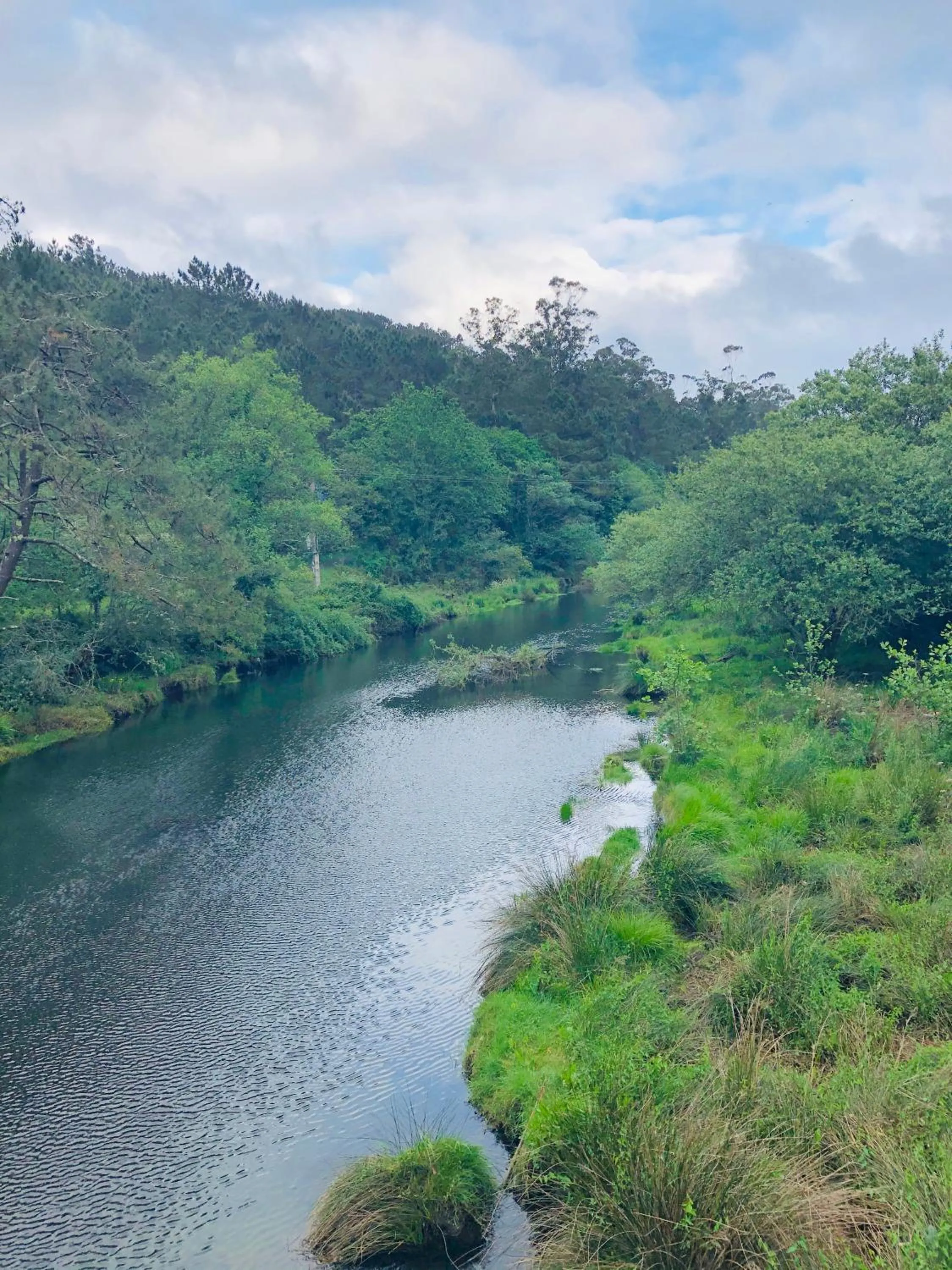 Natural landscape in Hotel Playa de Lago