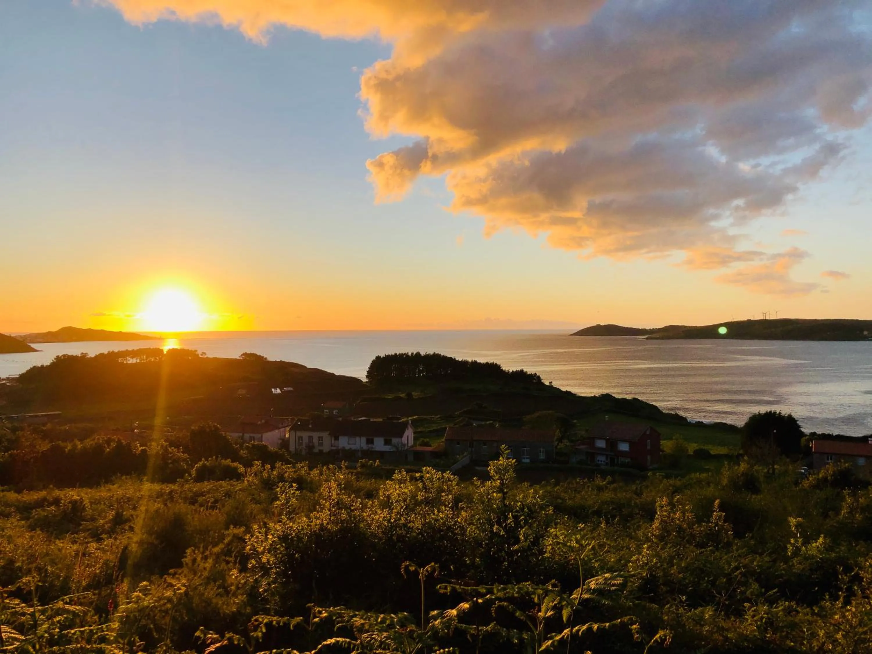Natural landscape in Hotel Playa de Lago
