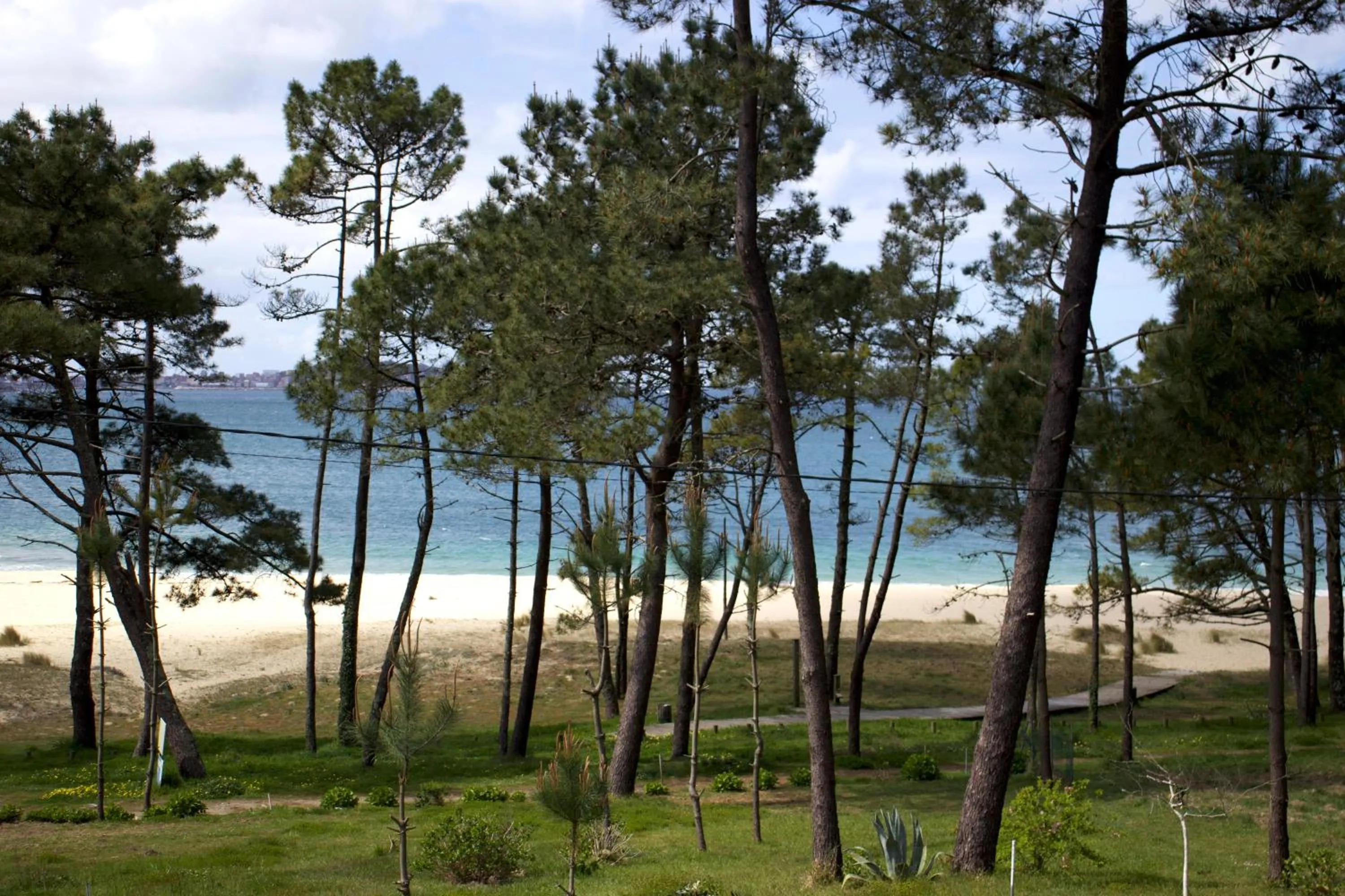 Natural landscape in Hotel Playa de Lago