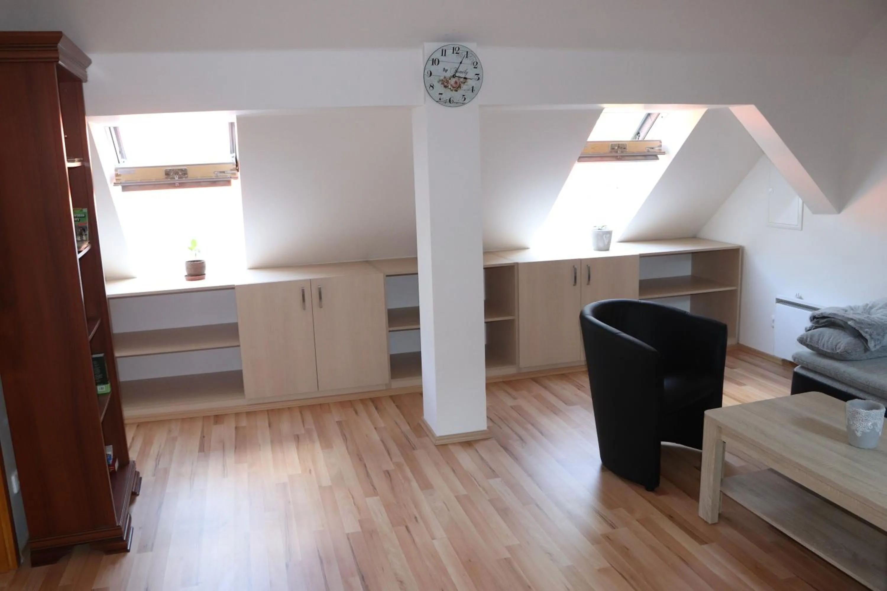 Apartment in Zevlův mlýn
